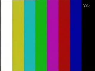 media 261382 thumbnail image