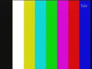 media thumbnail