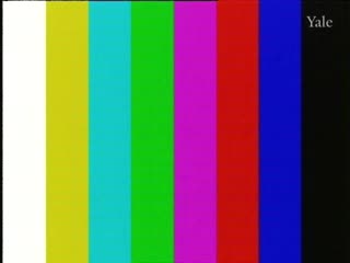 media 261435 thumbnail image