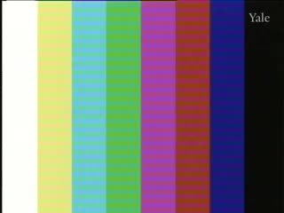 media 261437 thumbnail image