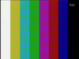 media 261438 thumbnail image