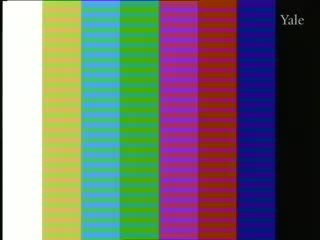 media 261440 thumbnail image