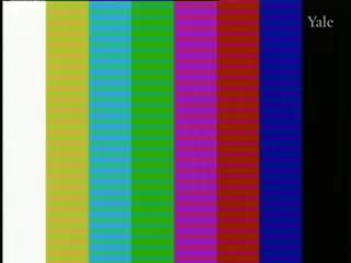 media 261441 thumbnail image