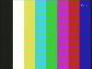 media 261443 thumbnail image