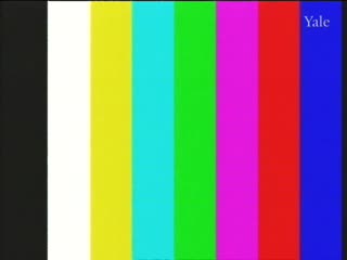 media 261448 thumbnail image