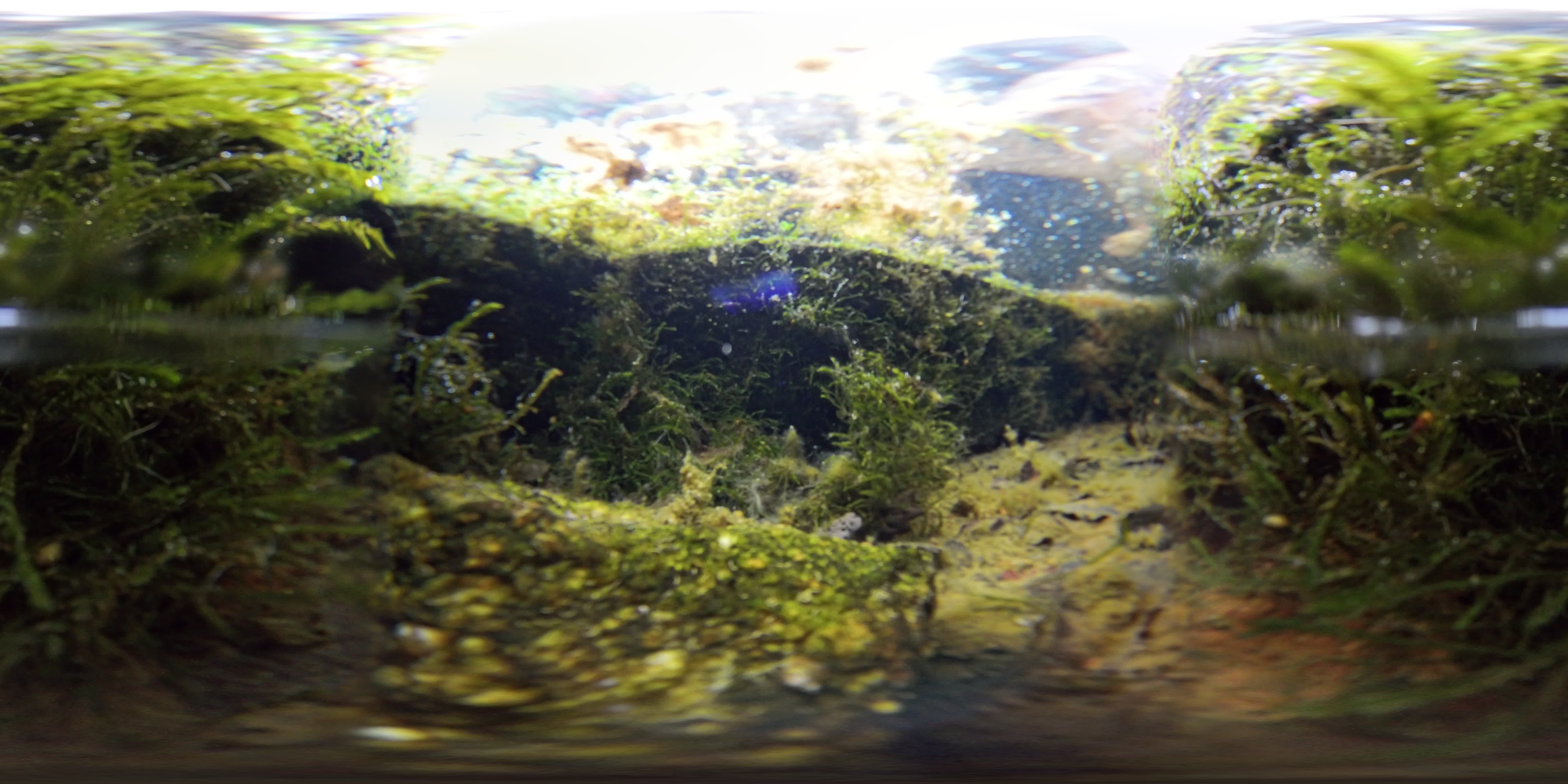 media 262597 thumbnail image