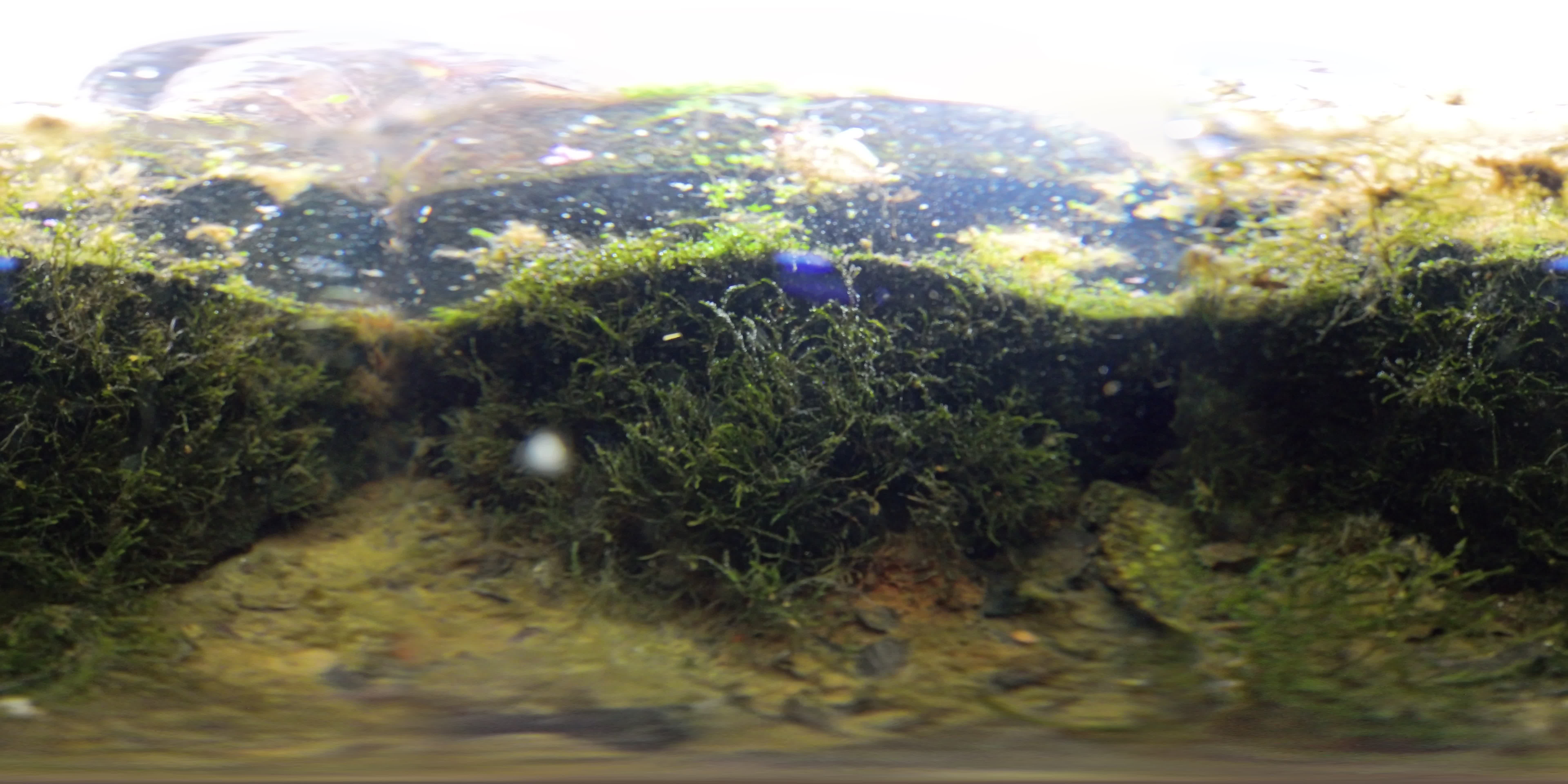 media 262598 thumbnail image