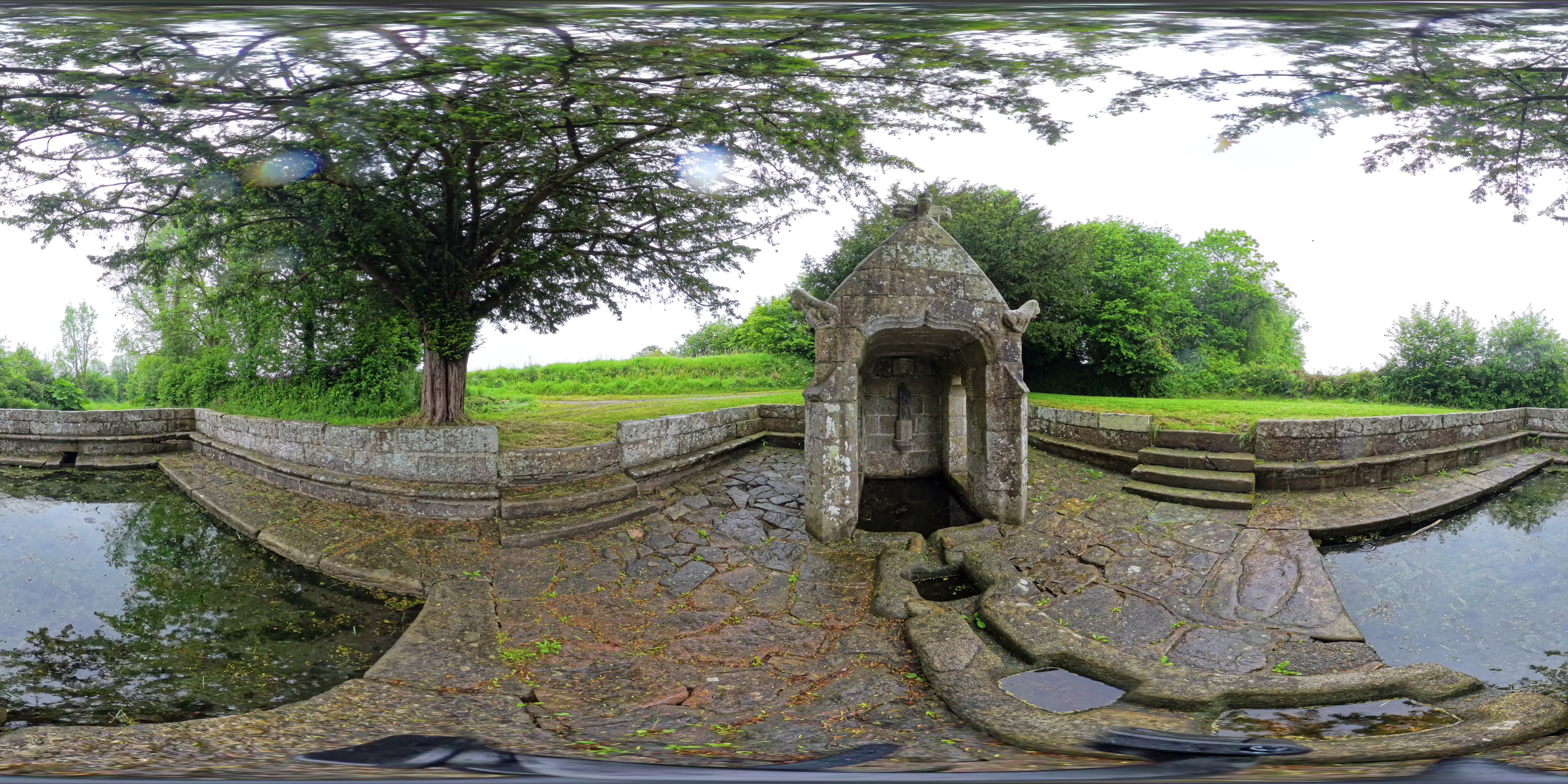 media 262620 thumbnail image