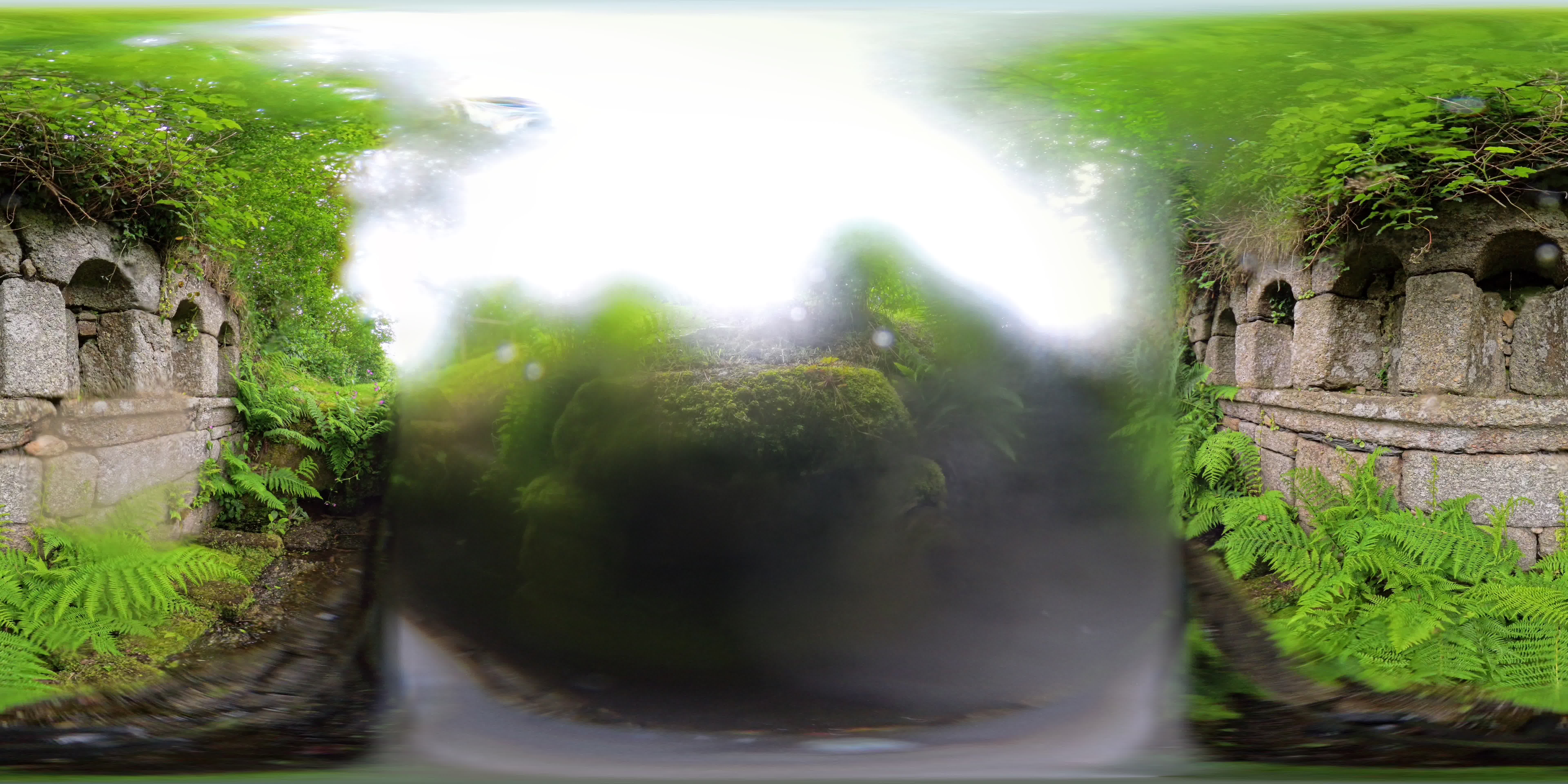 media 262626 thumbnail image