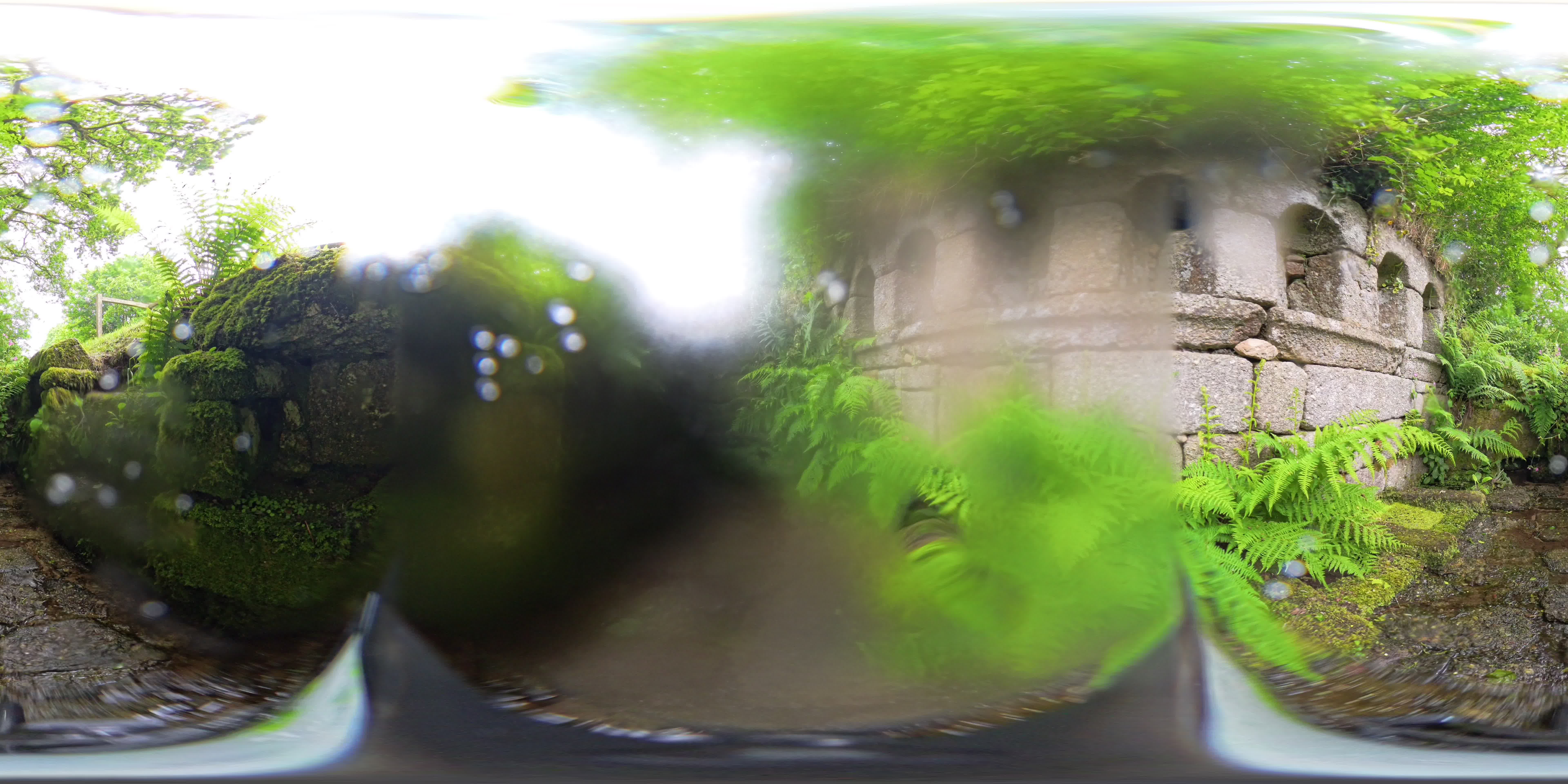 media 262629 thumbnail image