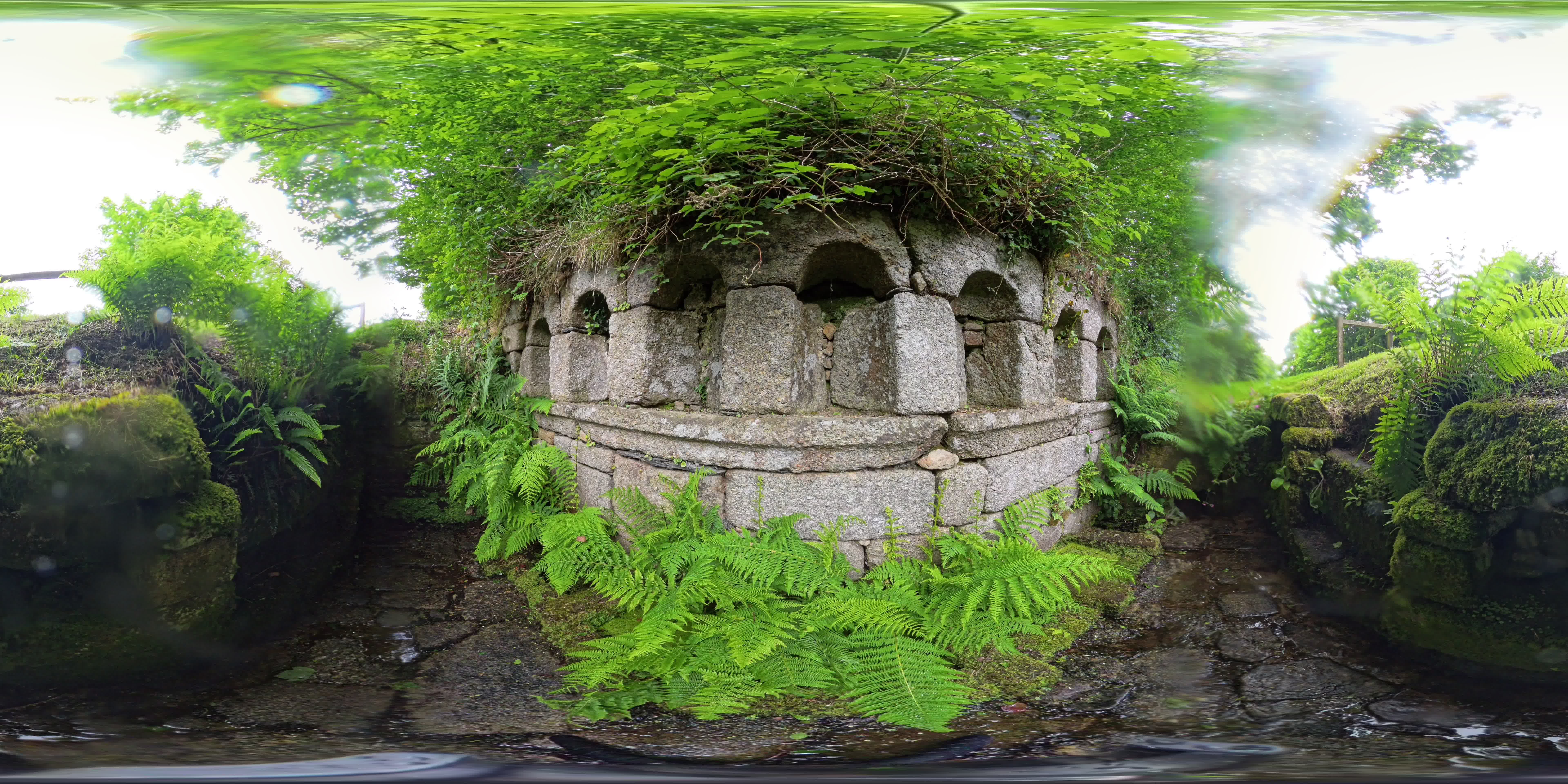 media 262630 thumbnail image
