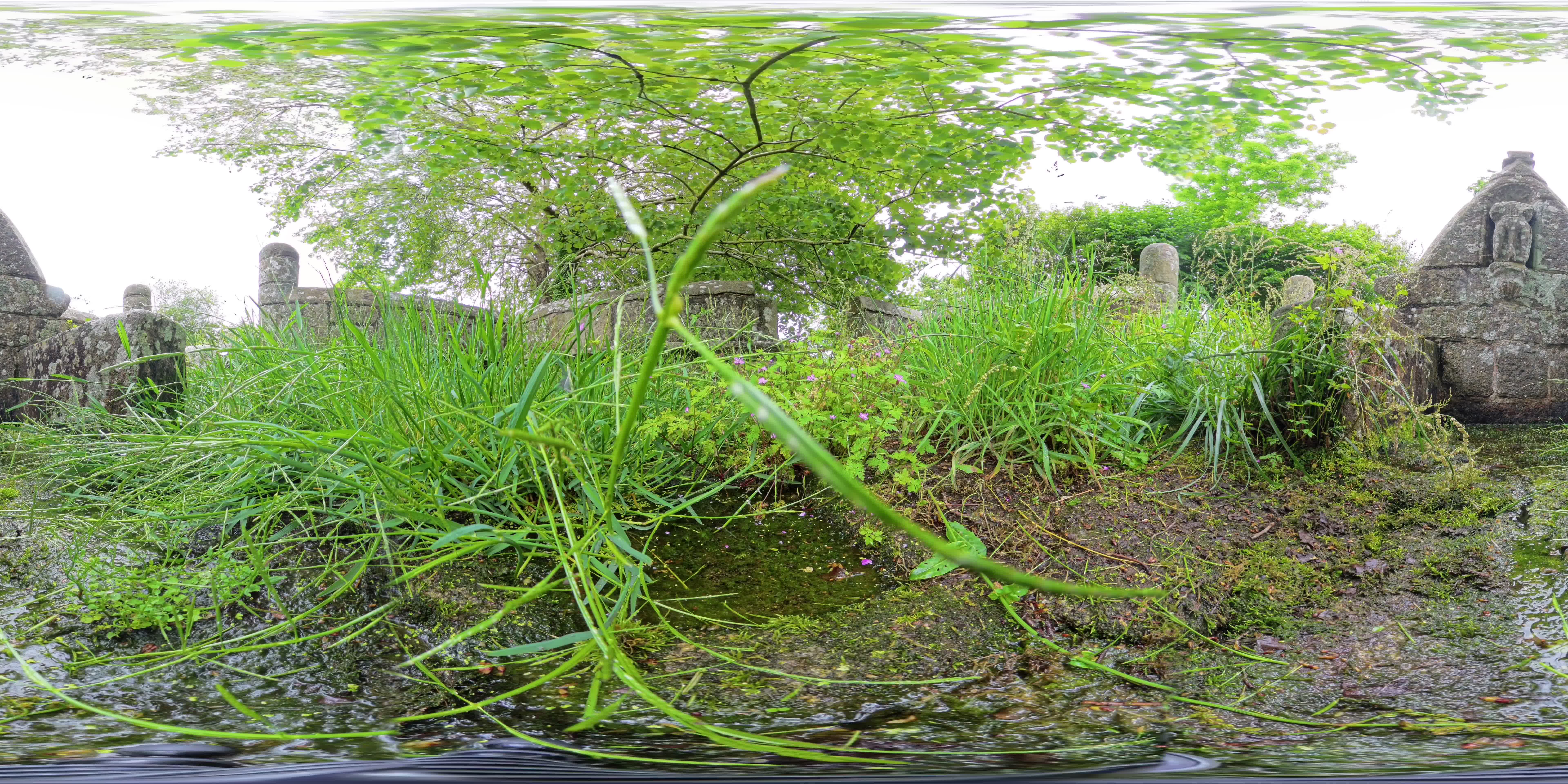 media 262632 thumbnail image