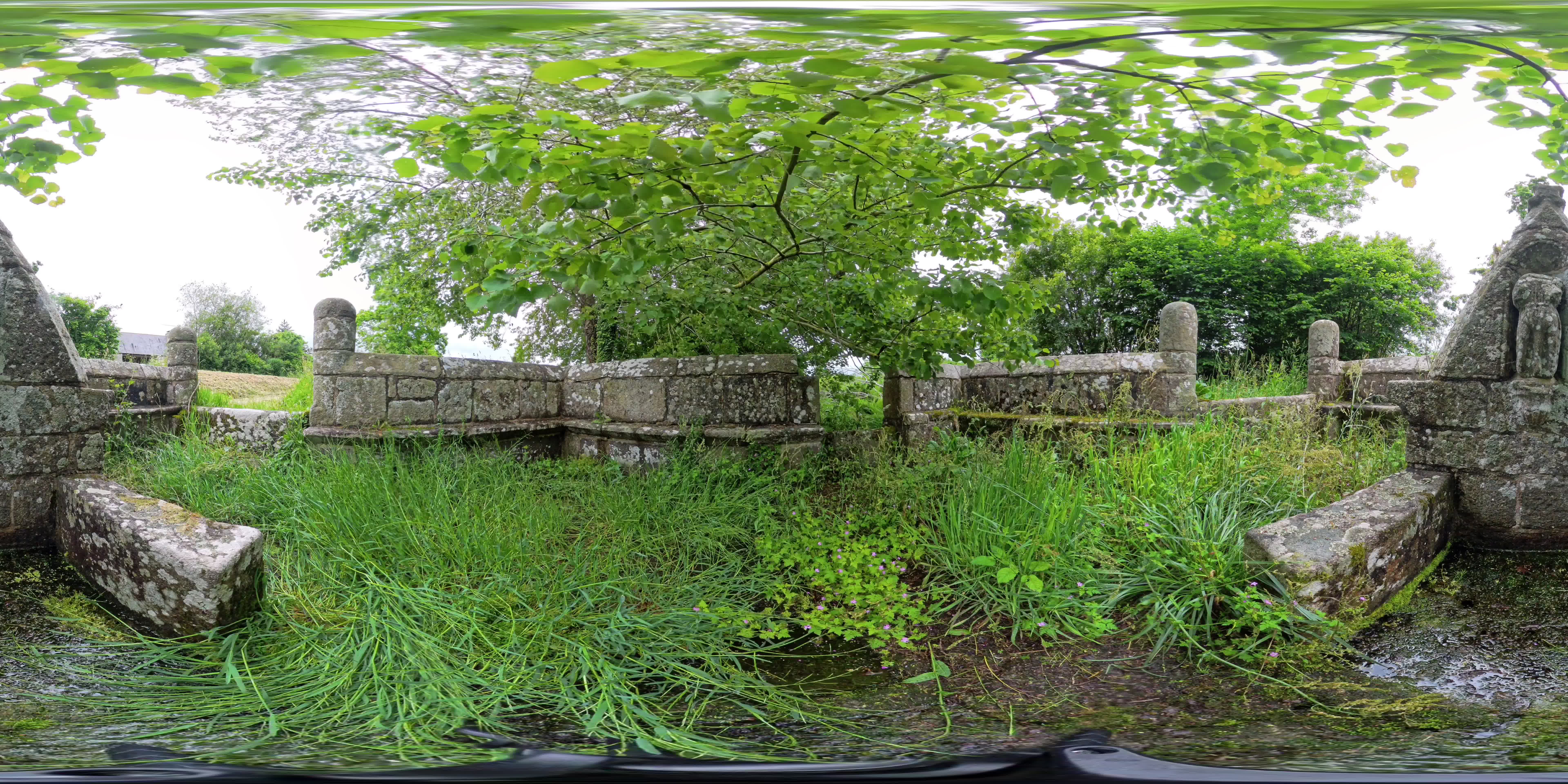 media 262633 thumbnail image