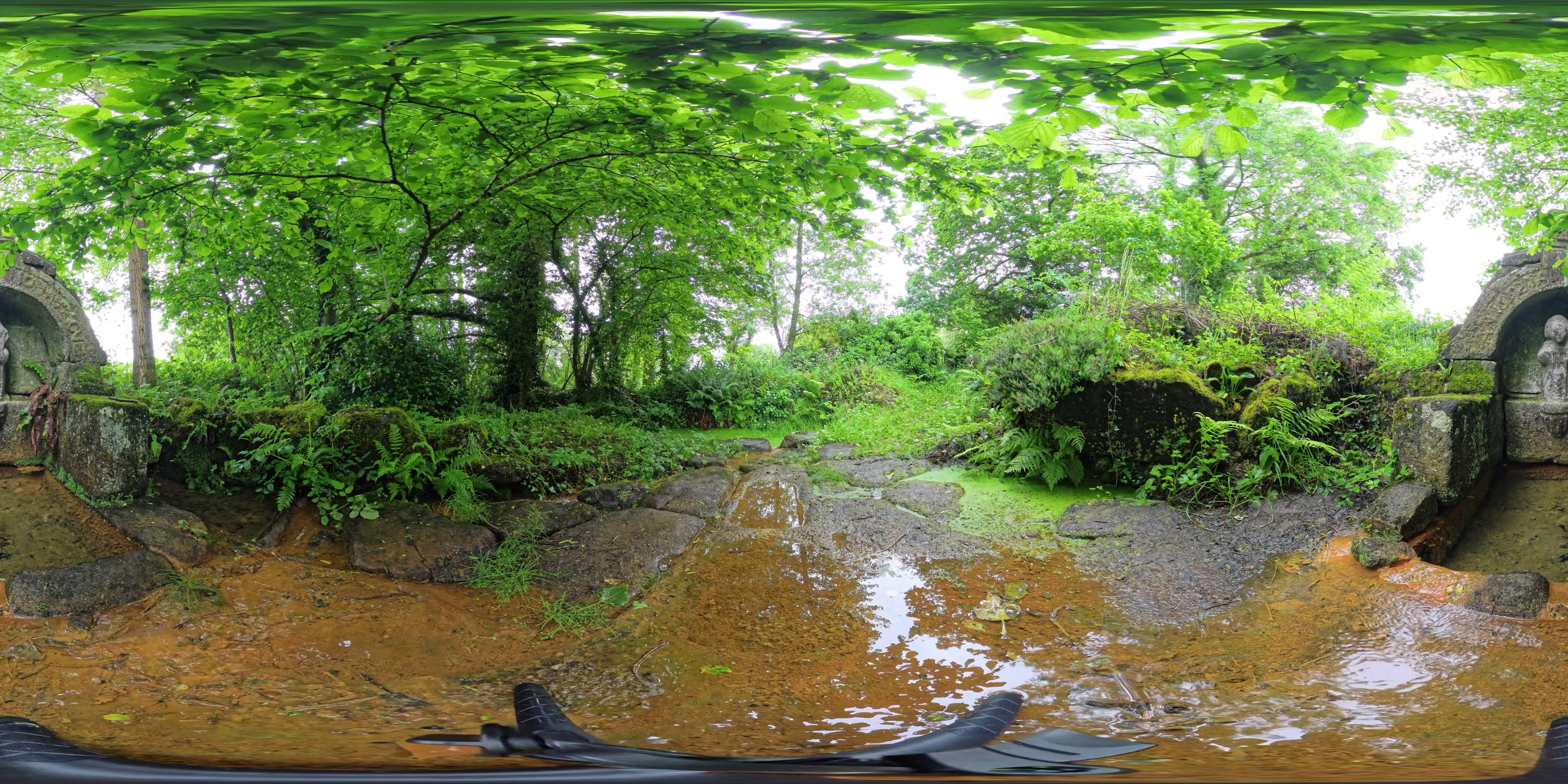 media 262641 thumbnail image