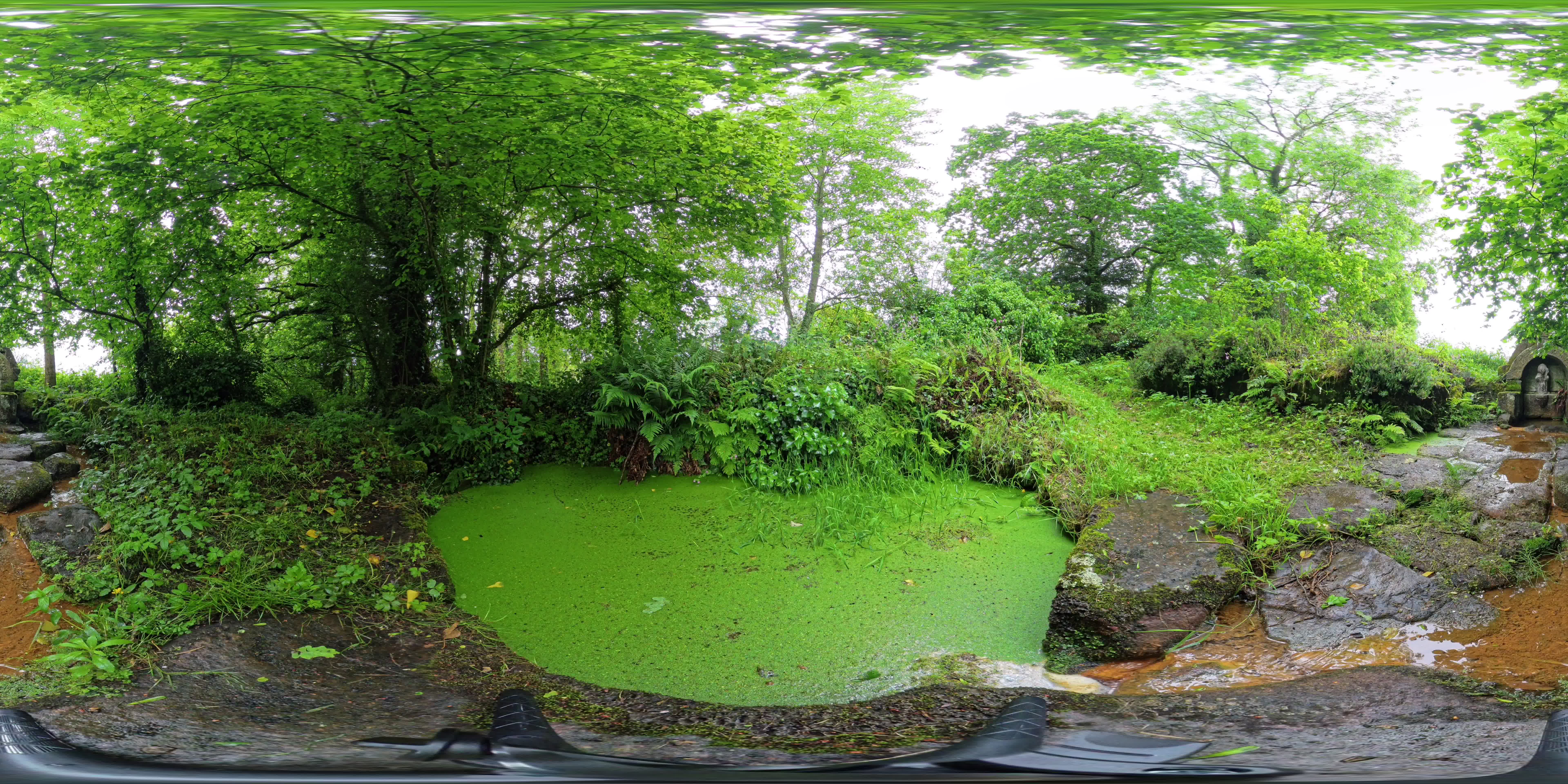 media 262642 thumbnail image