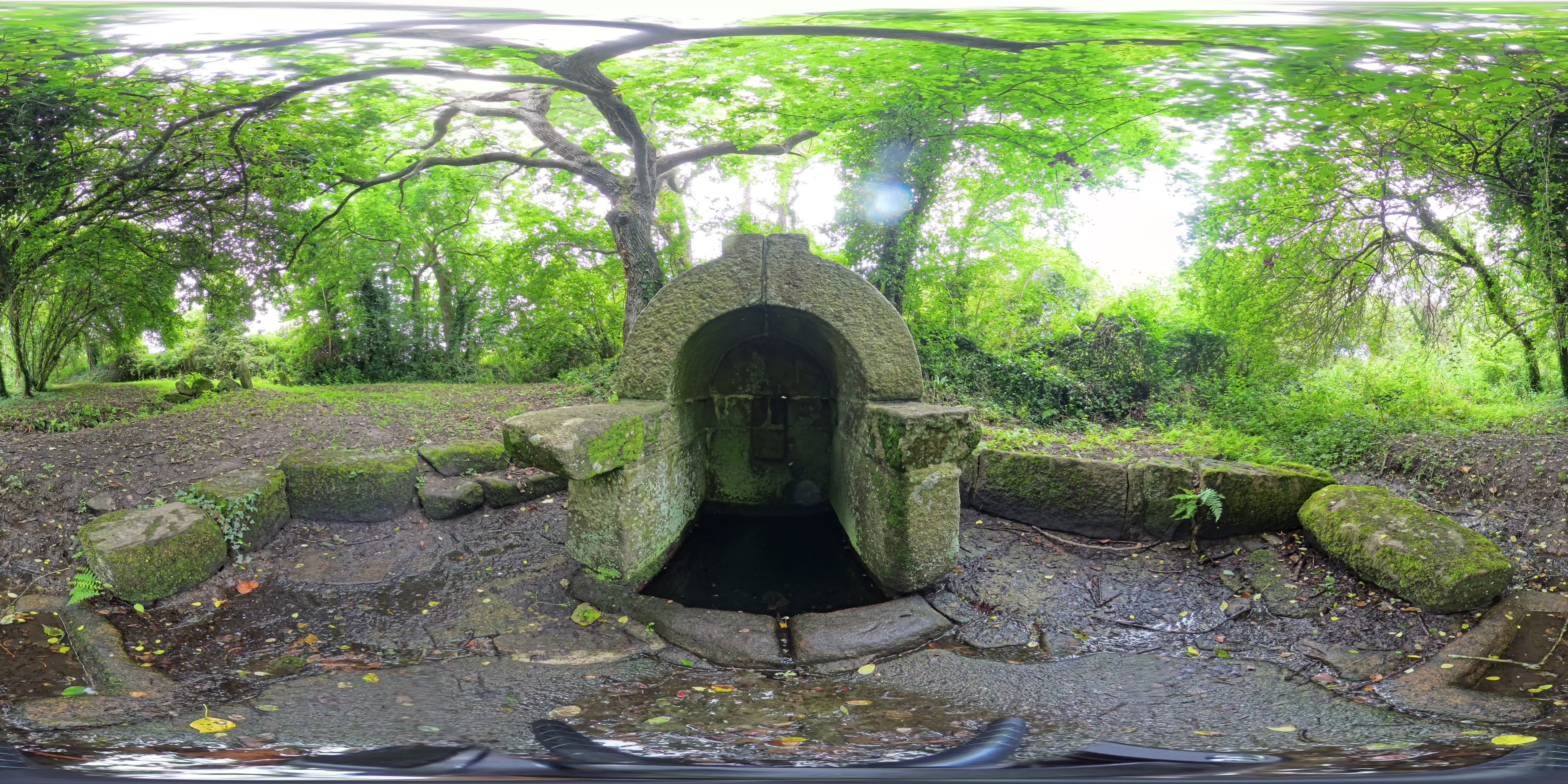 media 262746 thumbnail image
