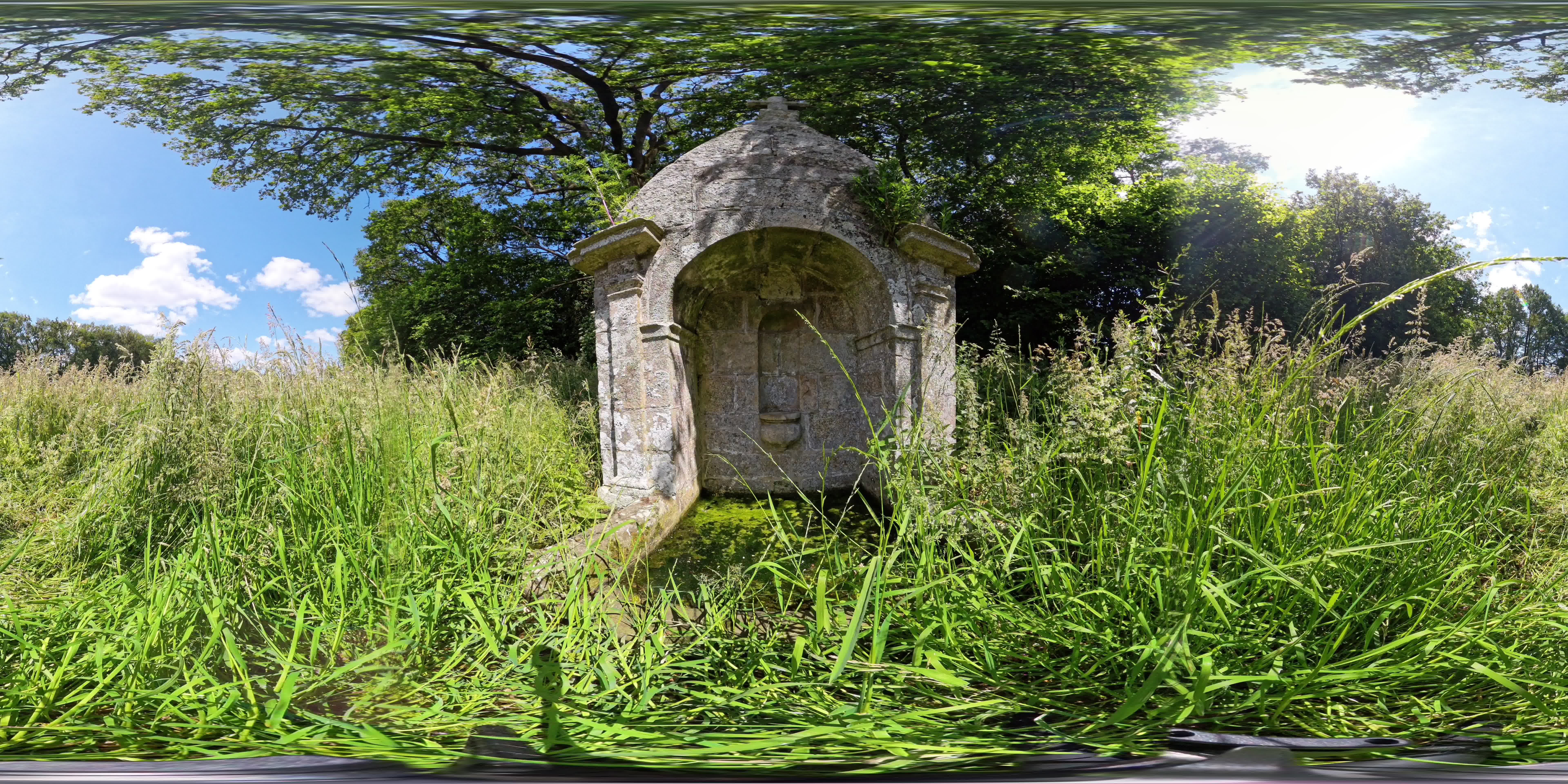 media 262785 thumbnail image