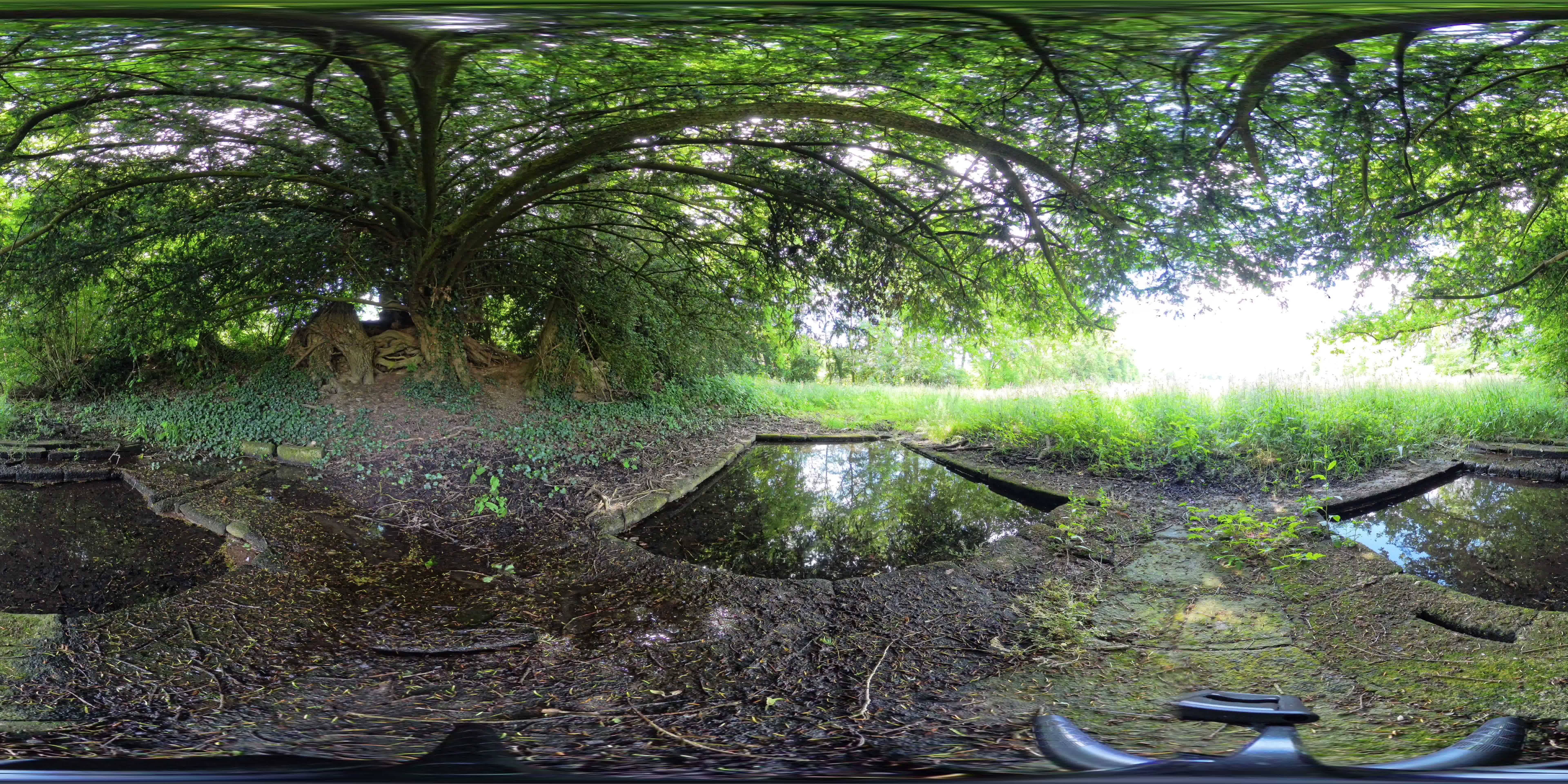 media 262786 thumbnail image