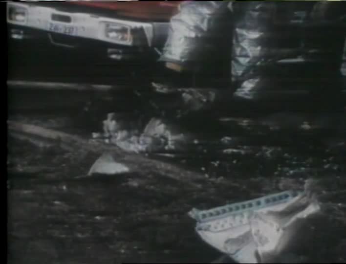 media 266821 thumbnail image