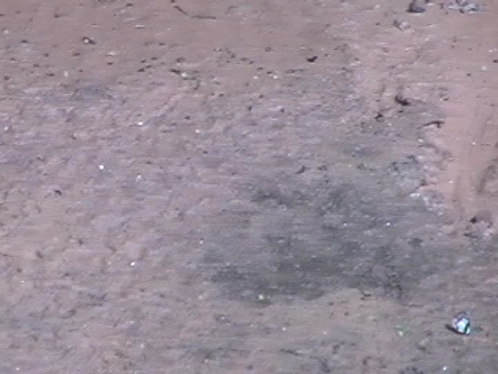 media thumbnail