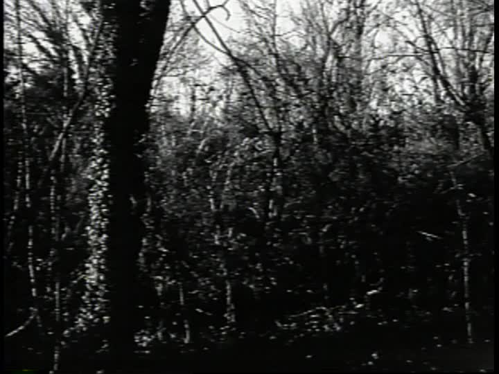 media thumbnail