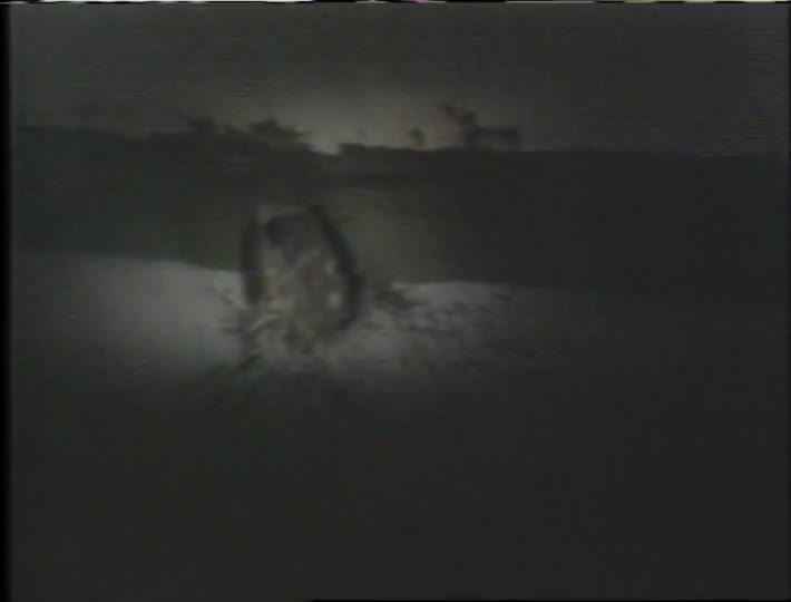 media 273704 thumbnail image