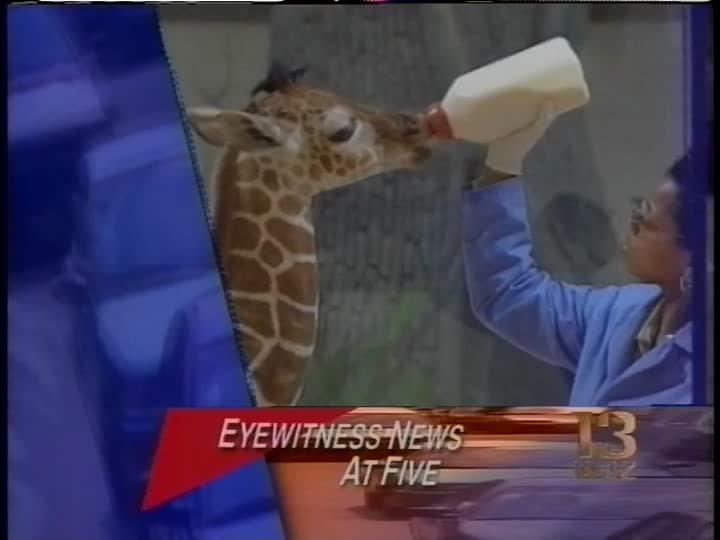 media 273826 thumbnail image