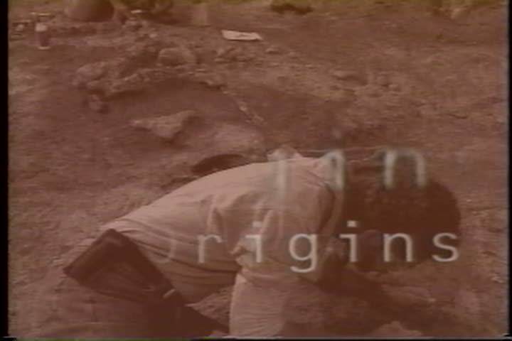 media thumbnail