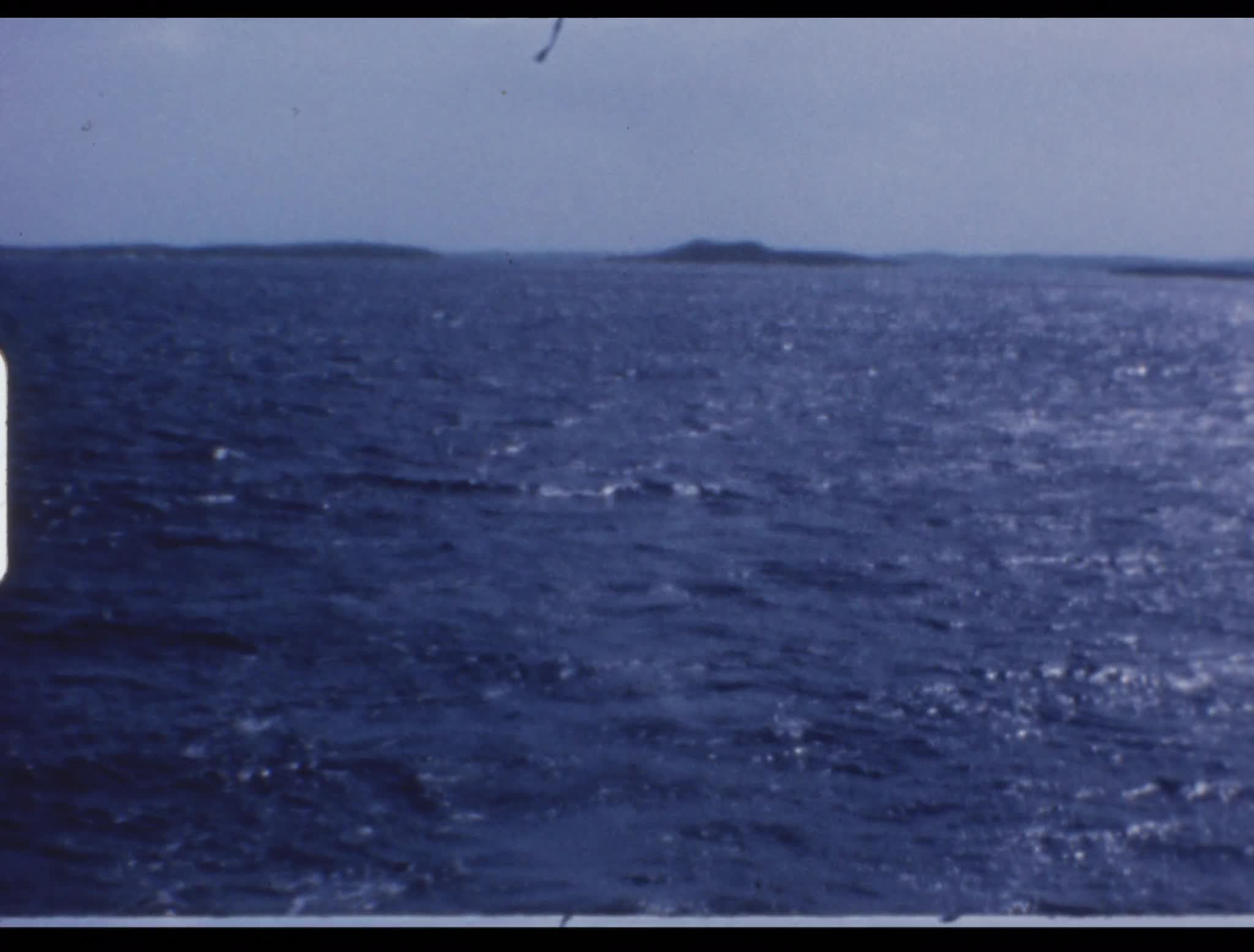 media 274811 thumbnail image