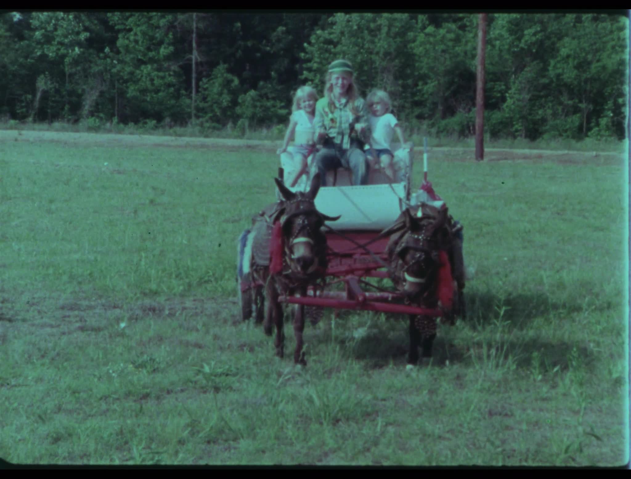 media 274876 thumbnail image