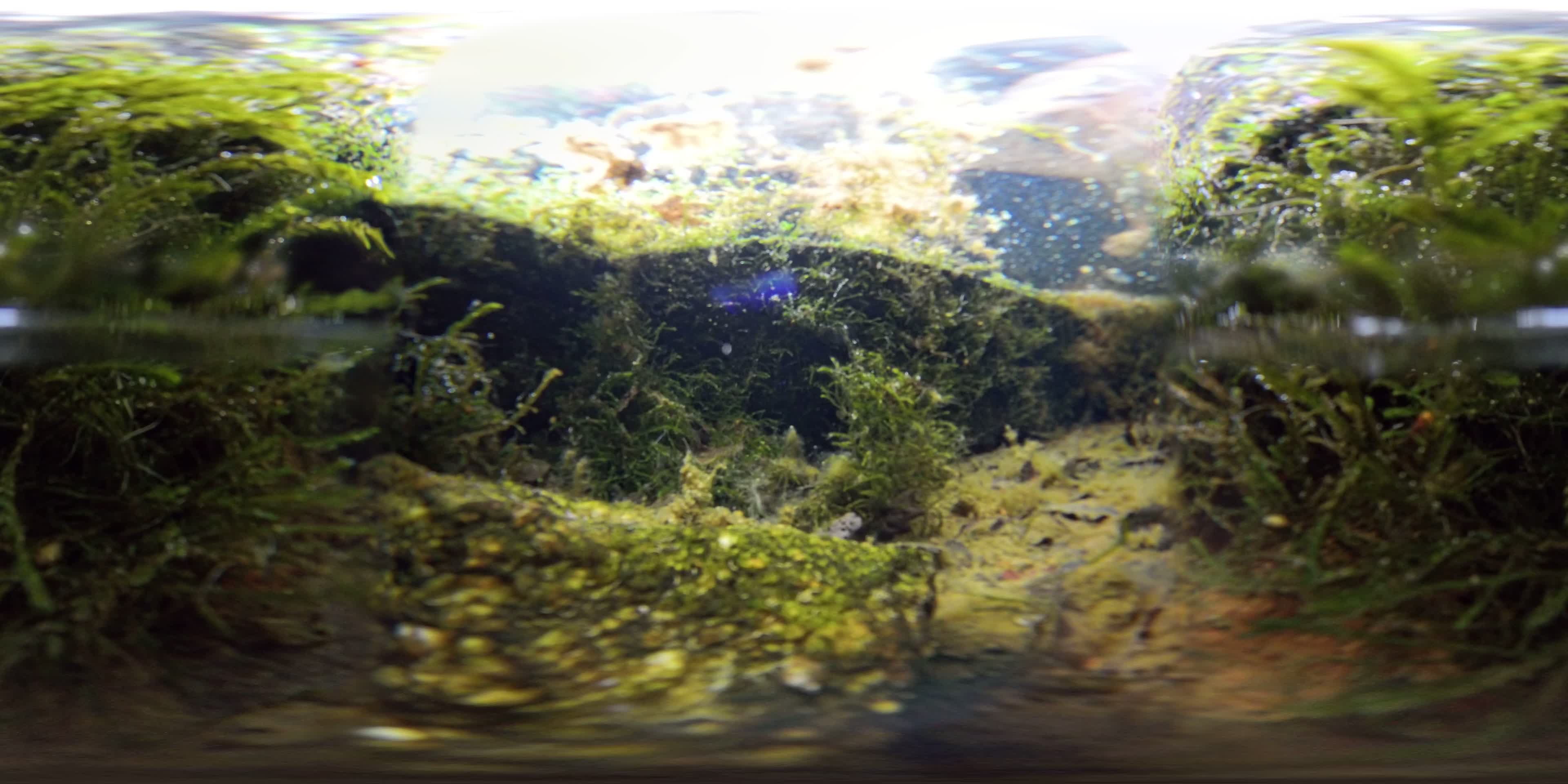 media 276150 thumbnail image