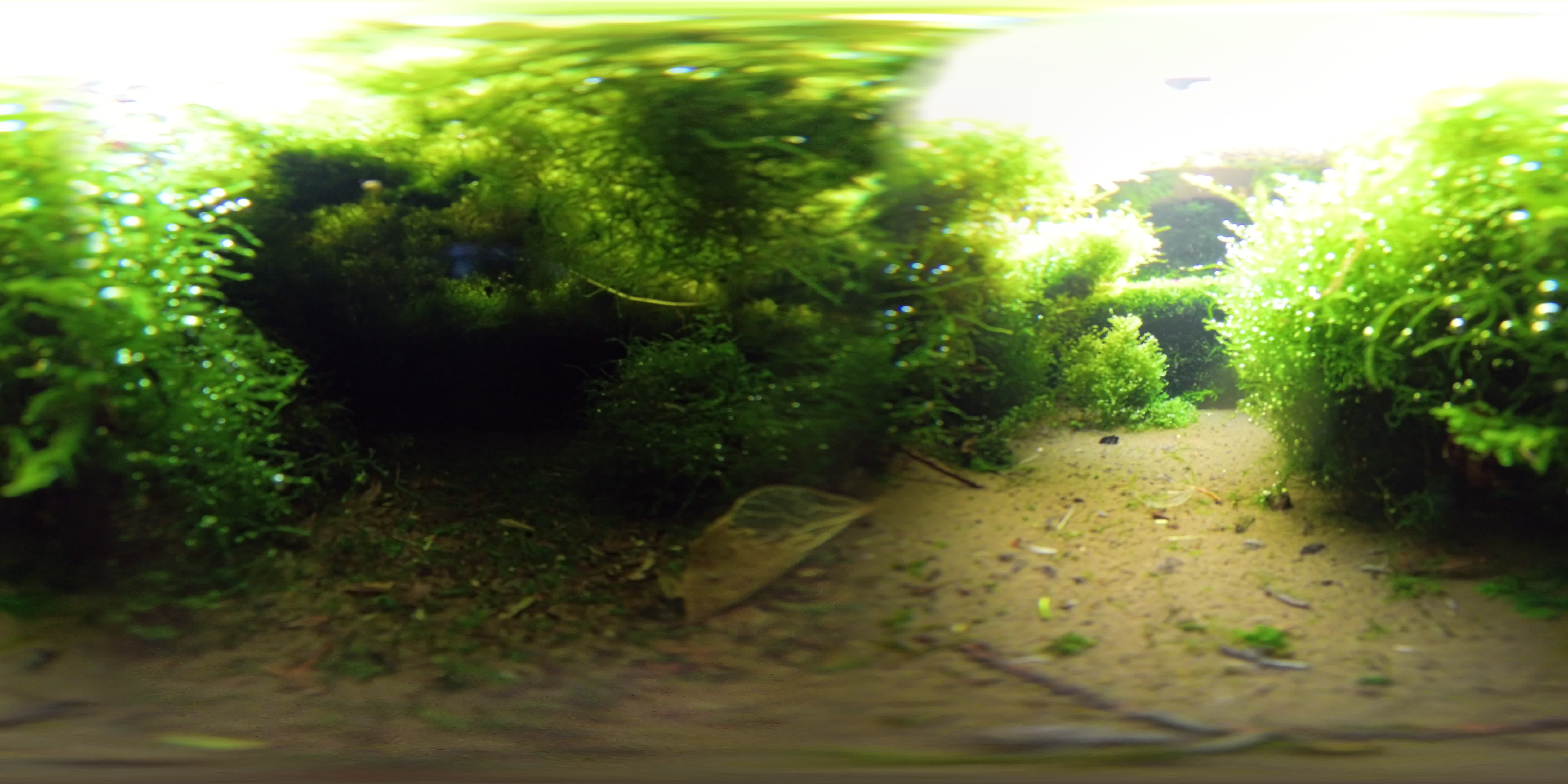 media 276182 thumbnail image