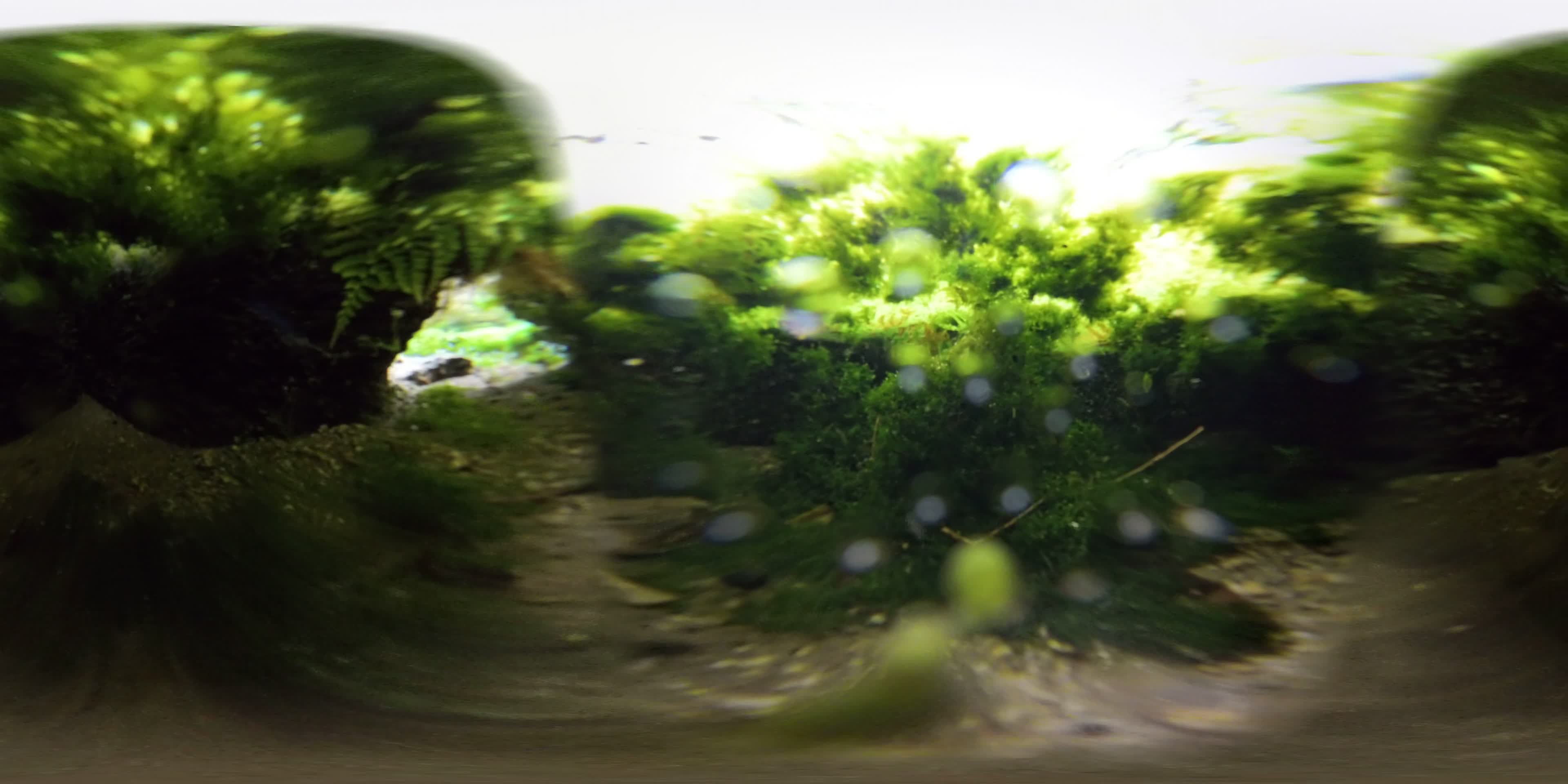 media 276199 thumbnail image