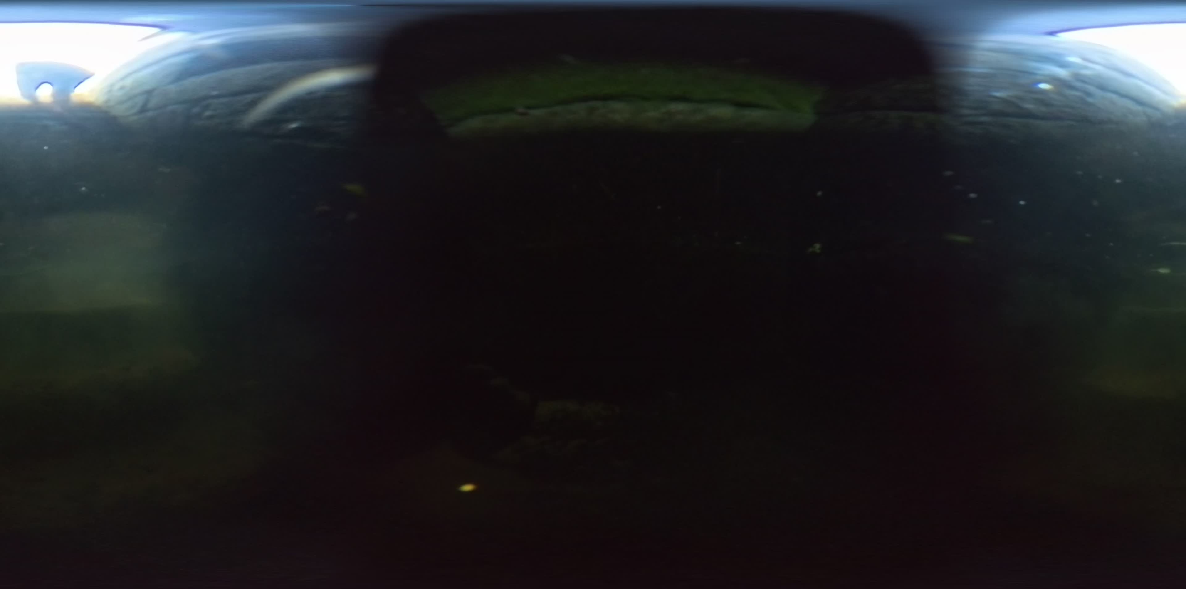 media 276223 thumbnail image