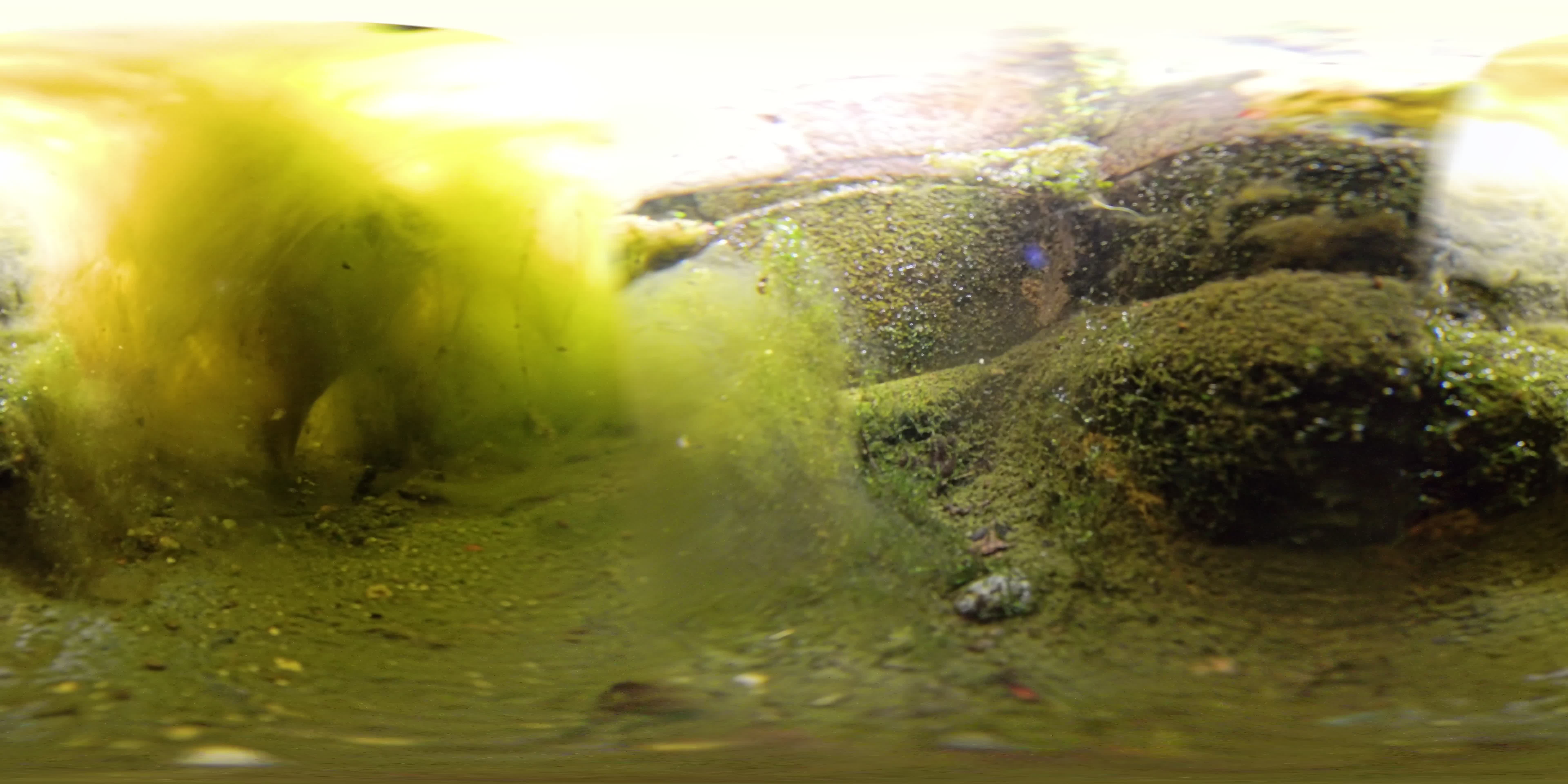 media 276242 thumbnail image