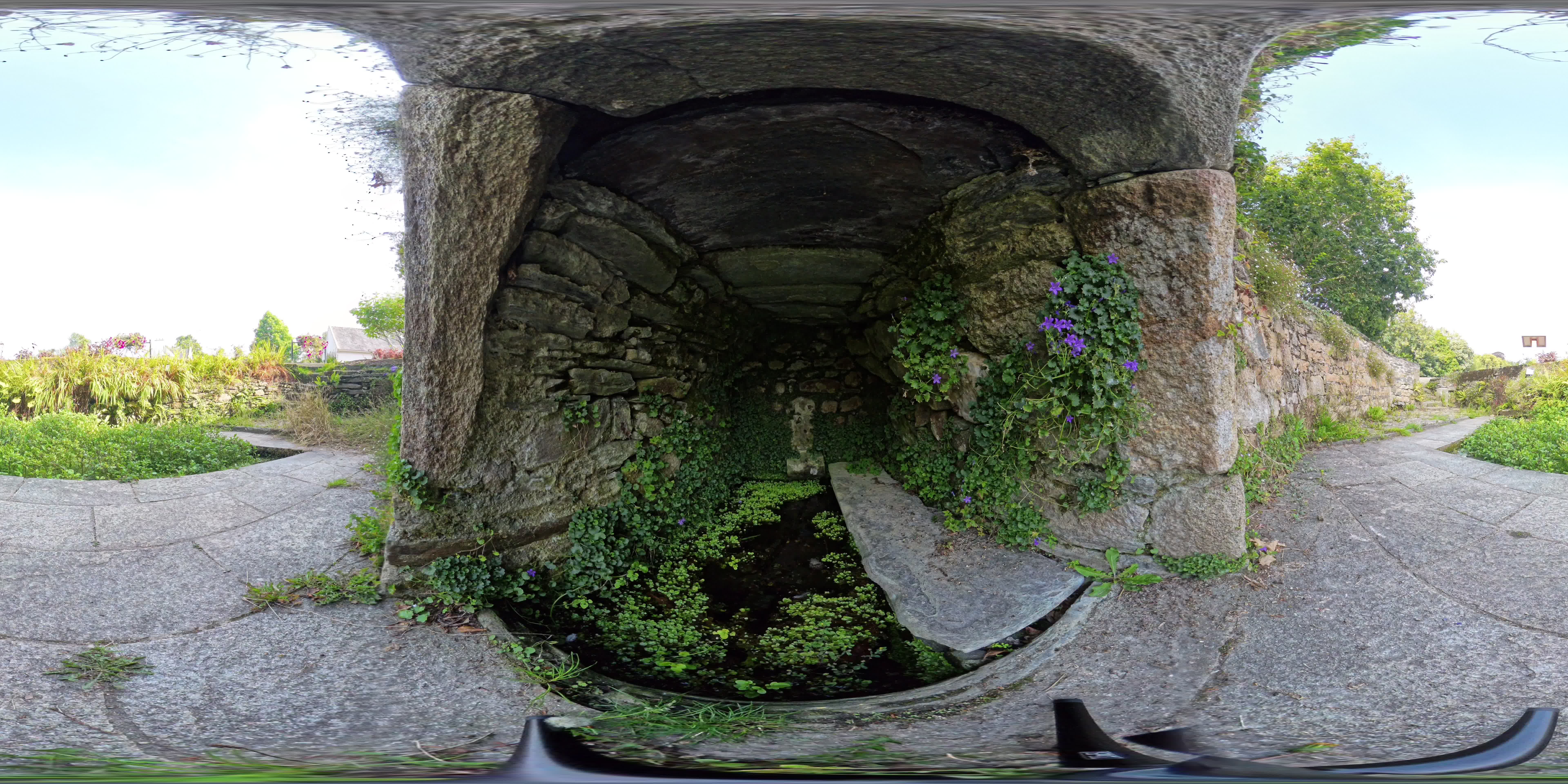 media 276249 thumbnail image