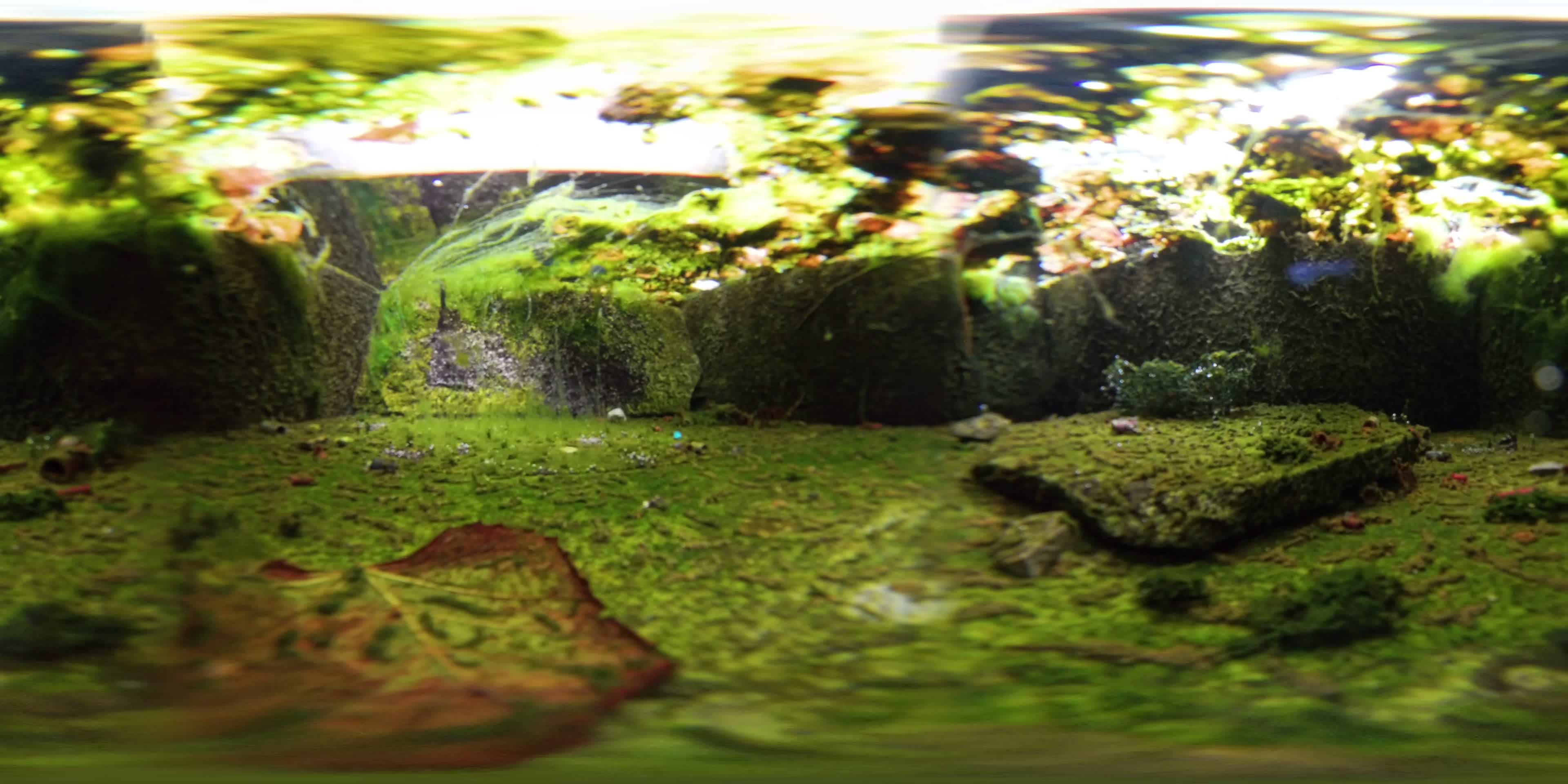 media 276261 thumbnail image