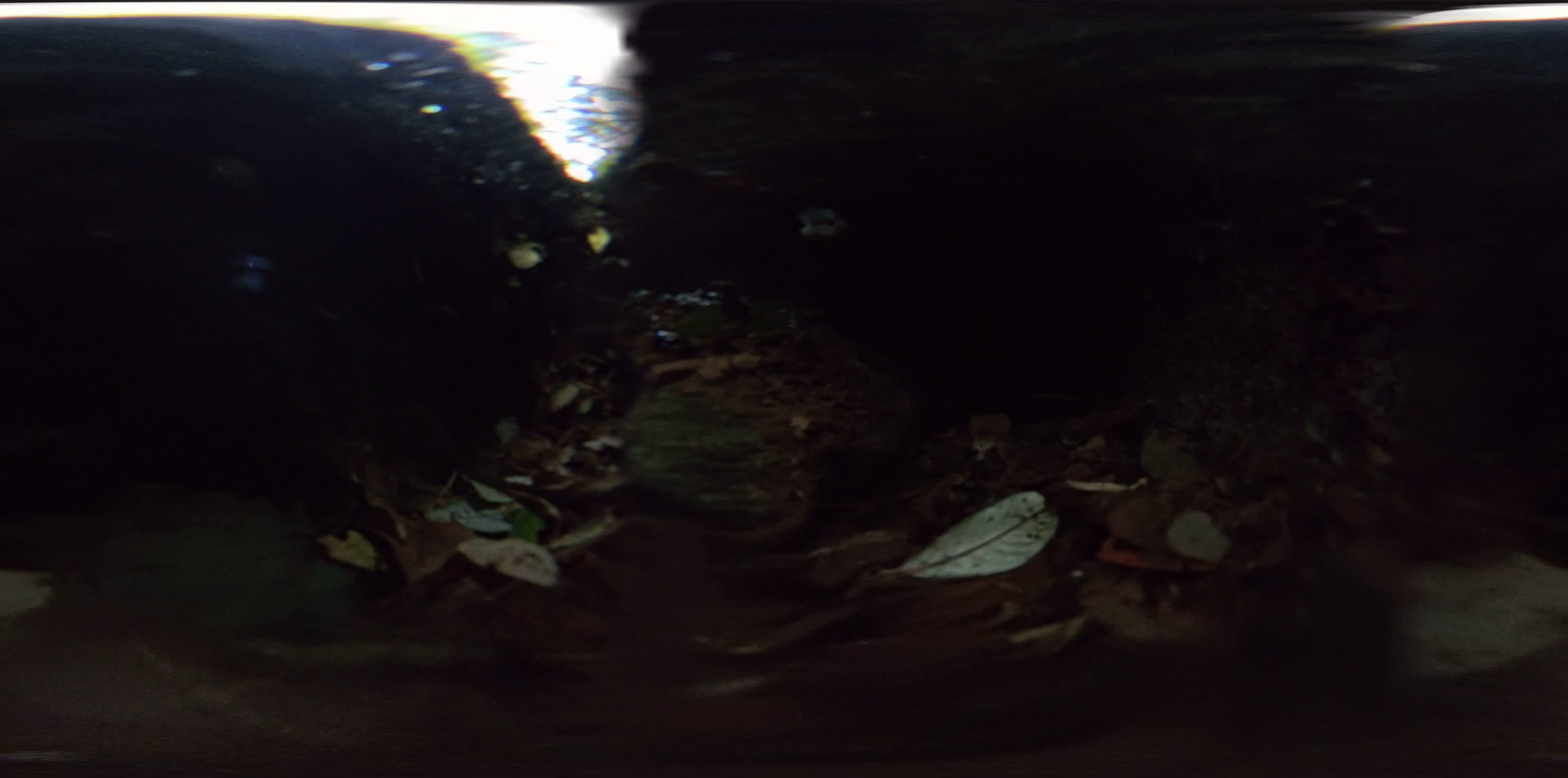 media 276267 thumbnail image