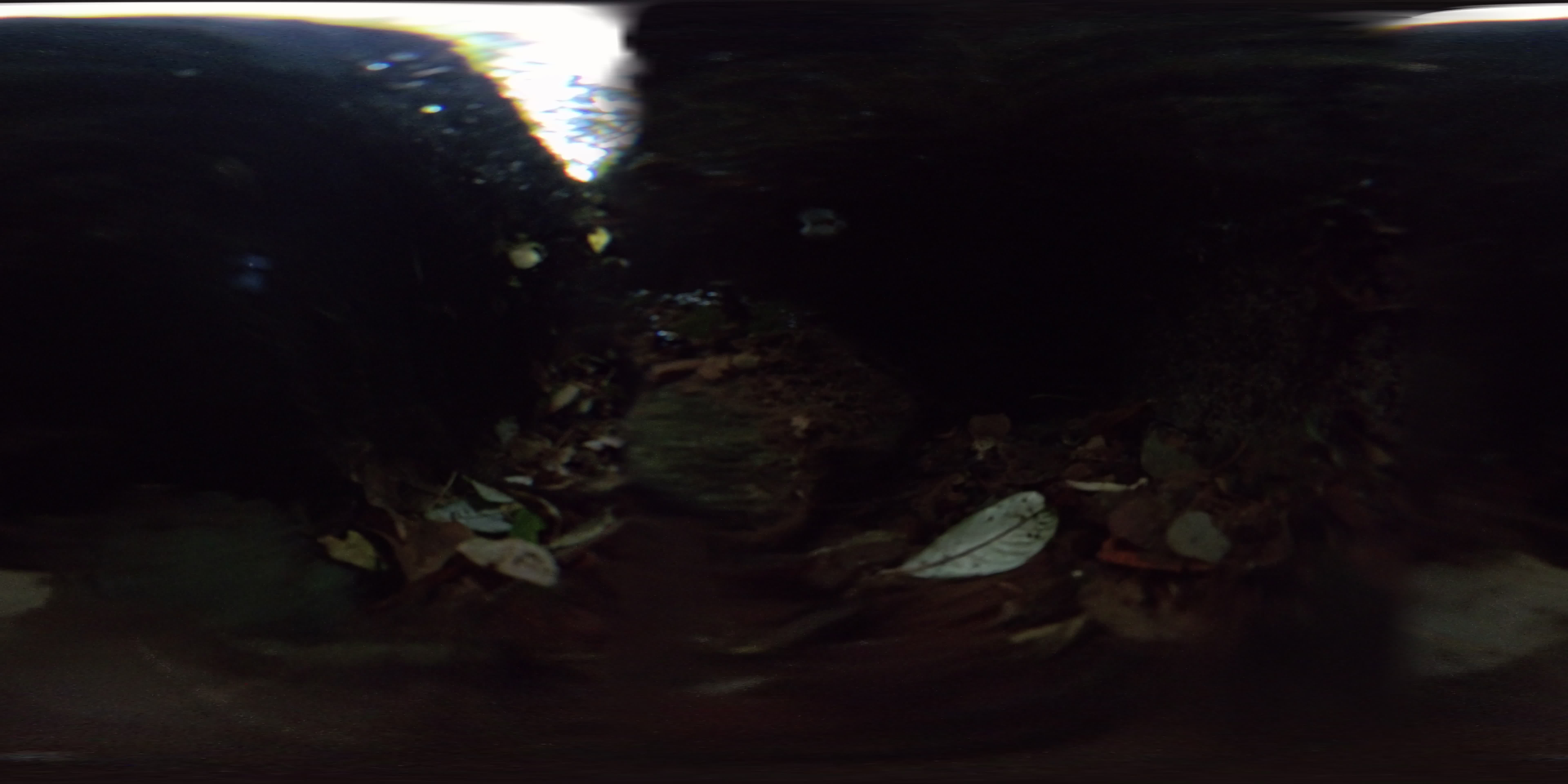 media 276269 thumbnail image