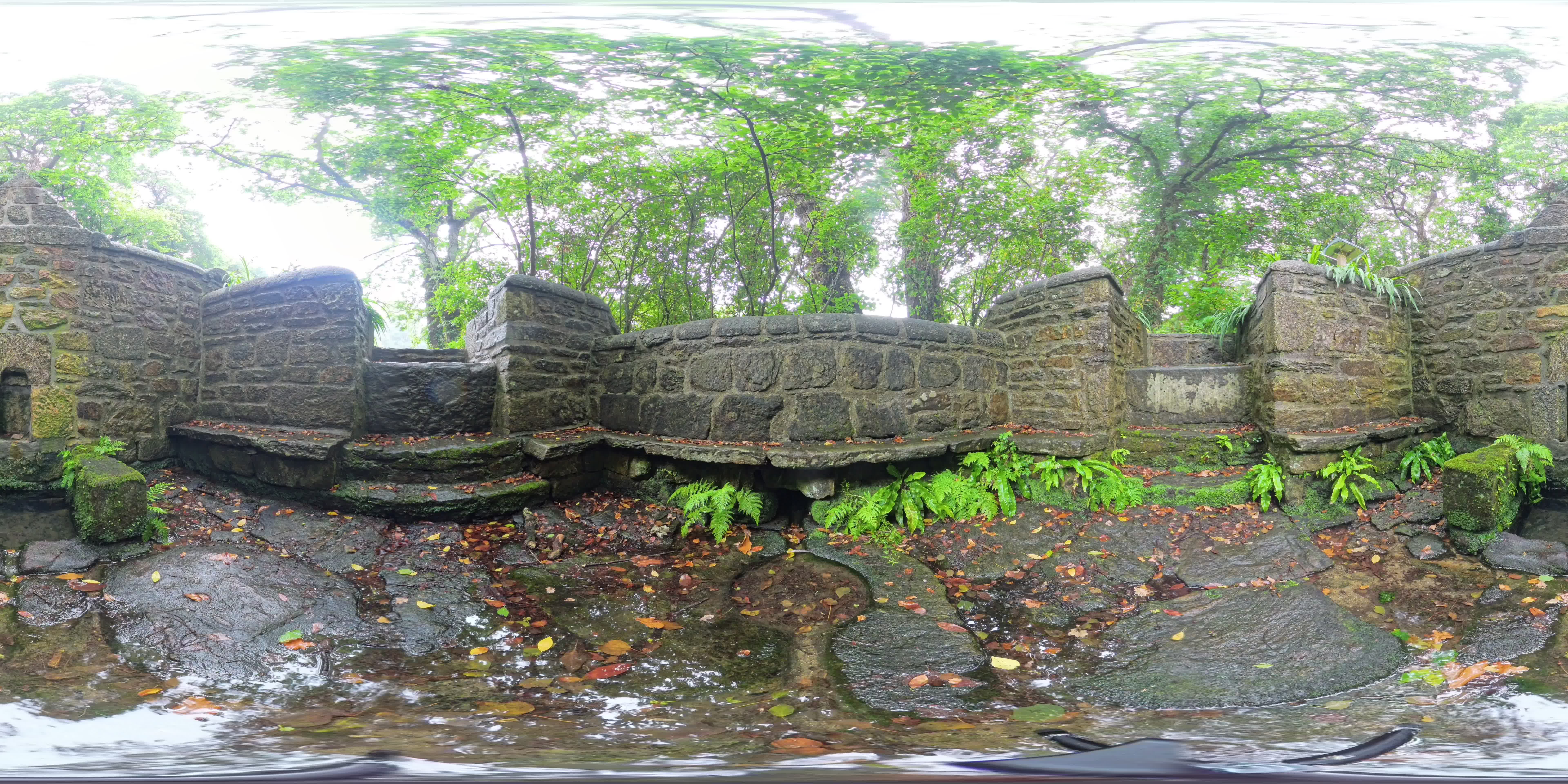 media 276272 thumbnail image