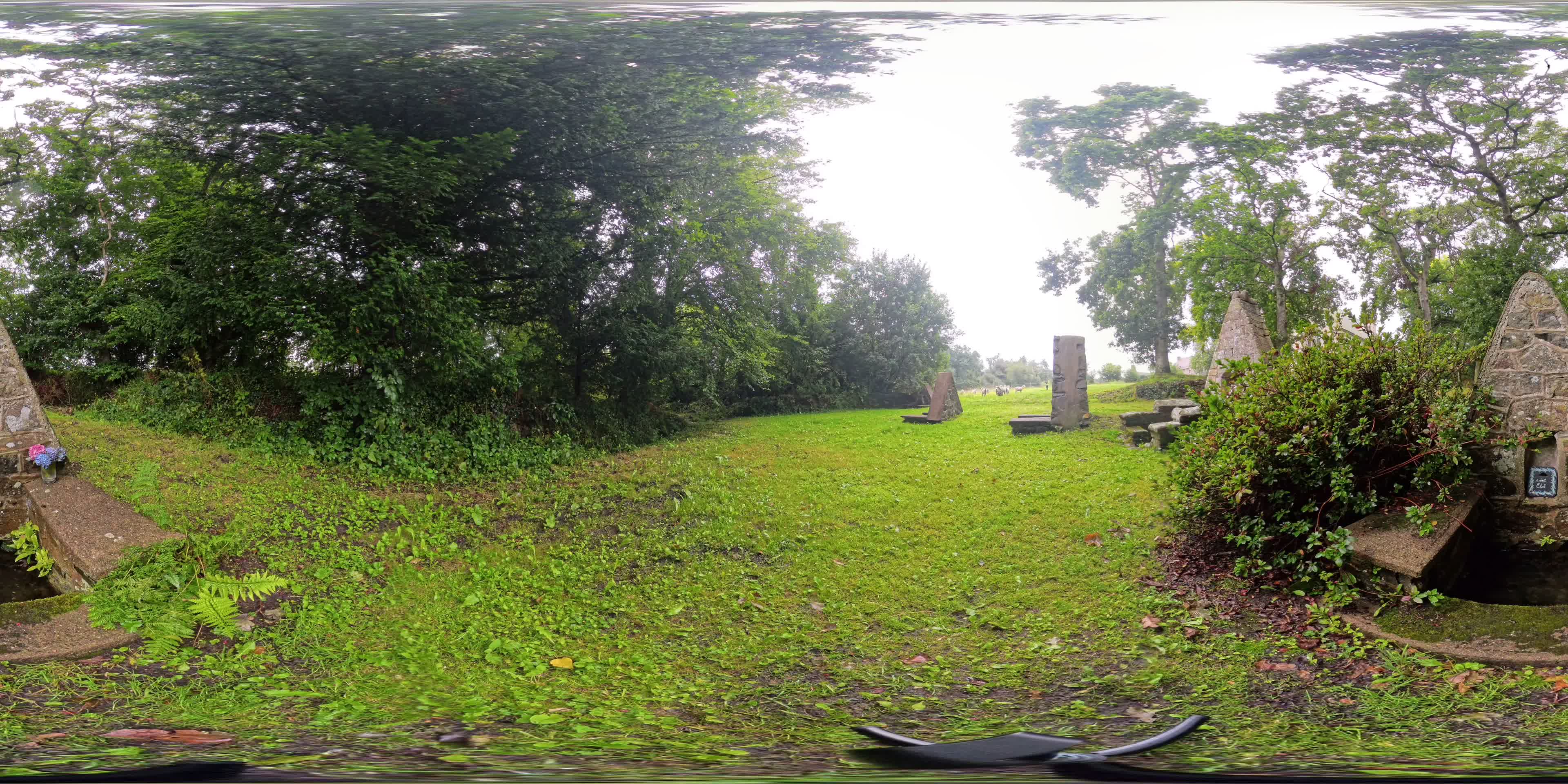 media 276281 thumbnail image