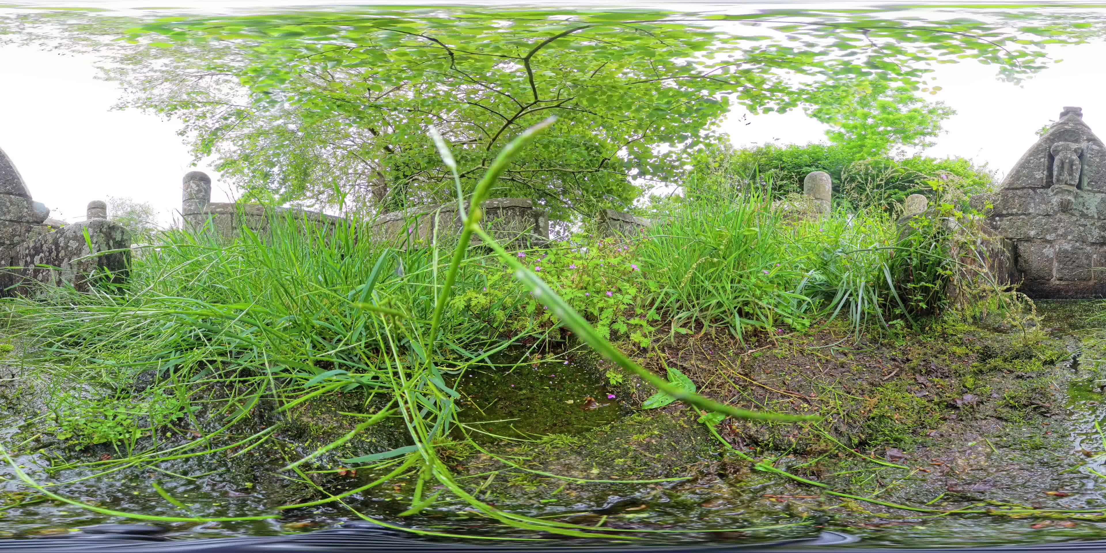 media 276336 thumbnail image