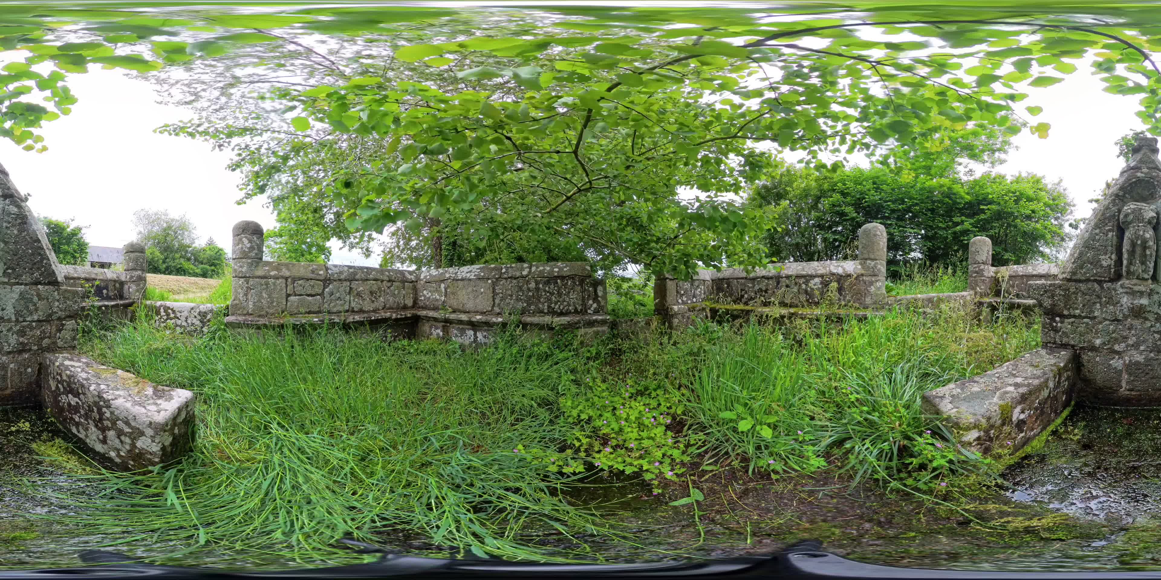 media 276337 thumbnail image