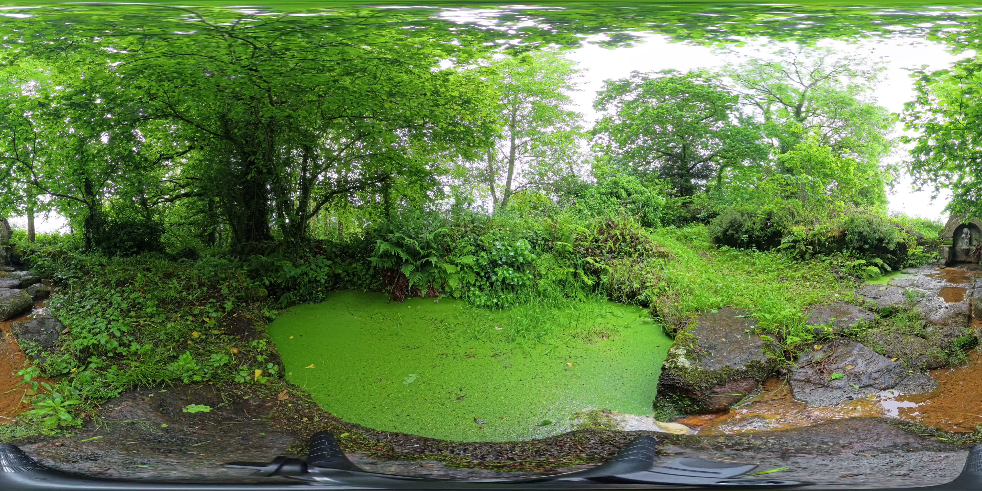 media 276340 thumbnail image