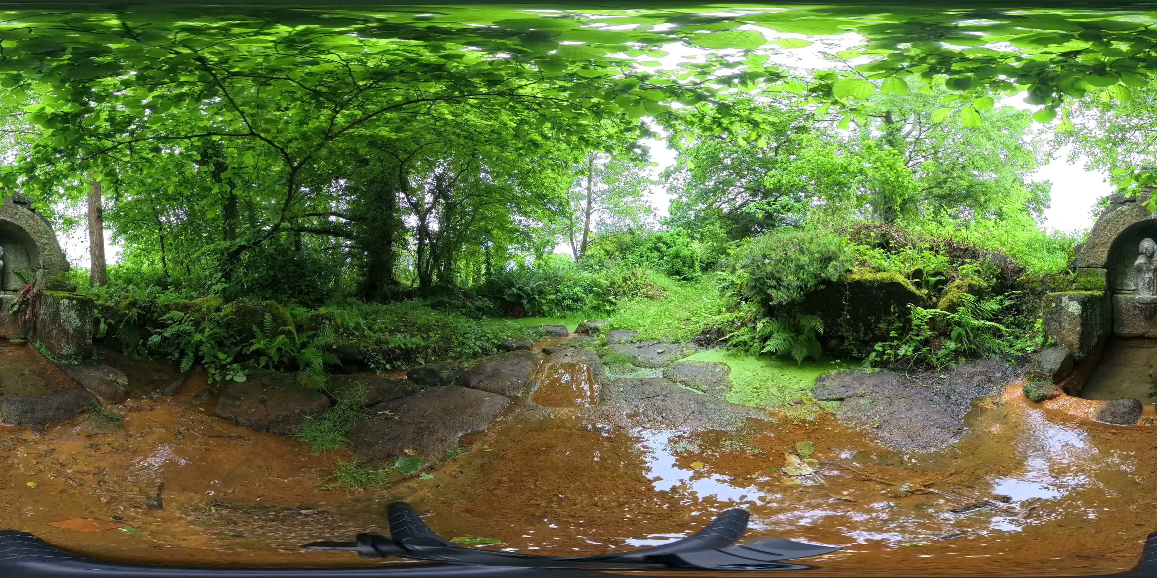 media 276341 thumbnail image