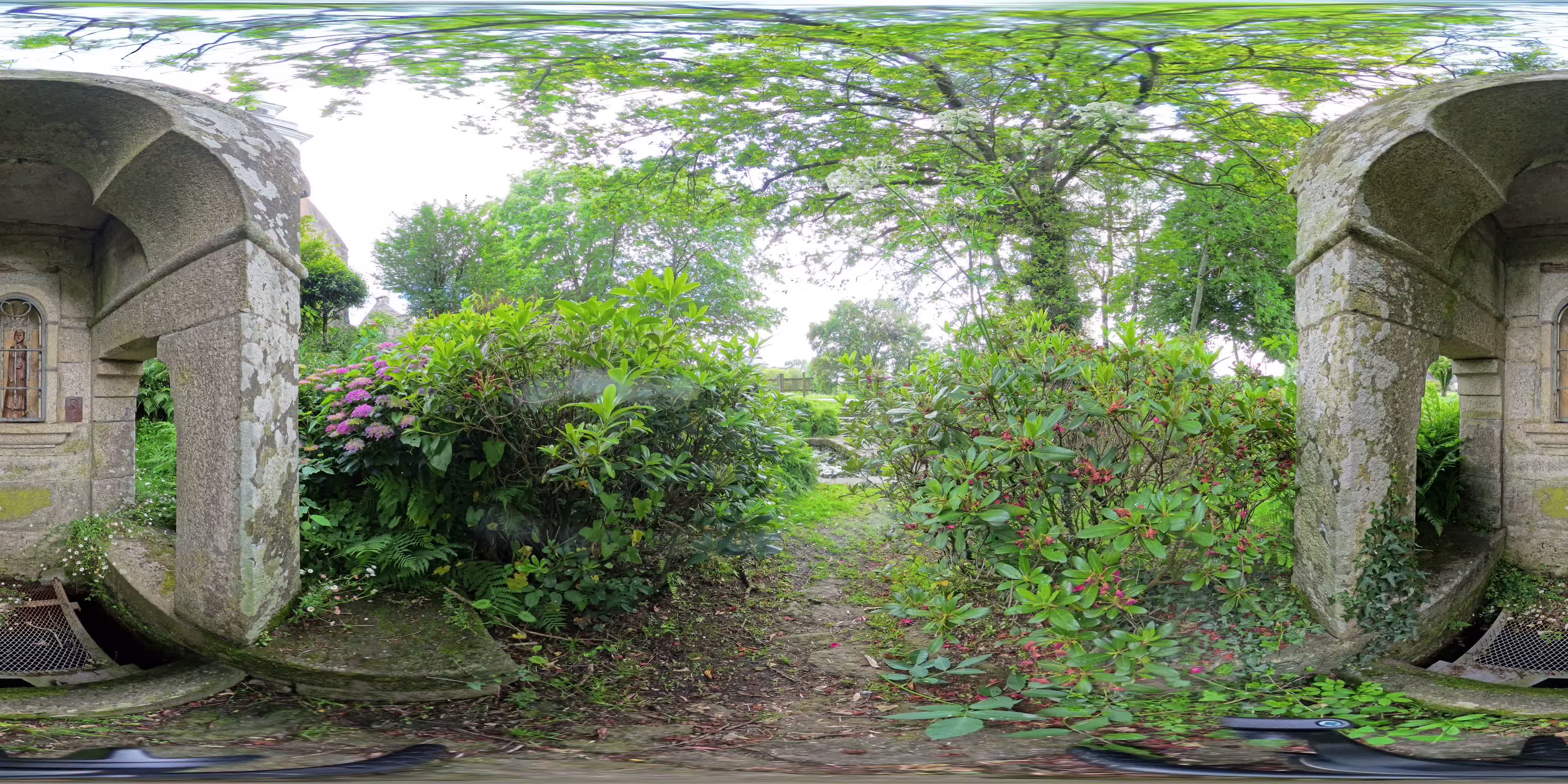 media 276347 thumbnail image