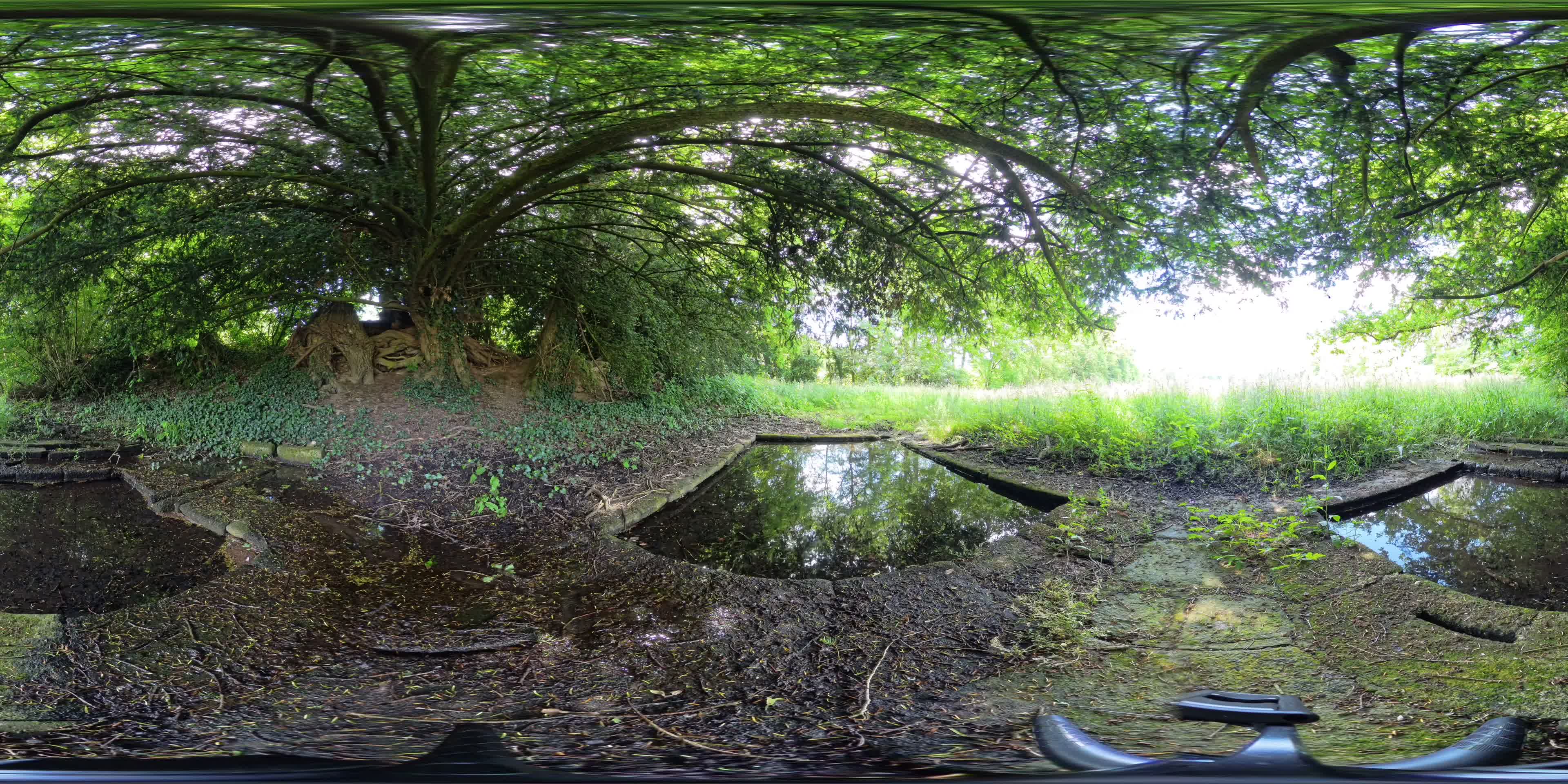 media 276357 thumbnail image
