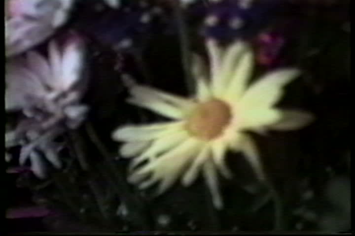 media thumbnail