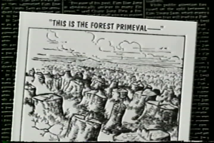 media thumbnail