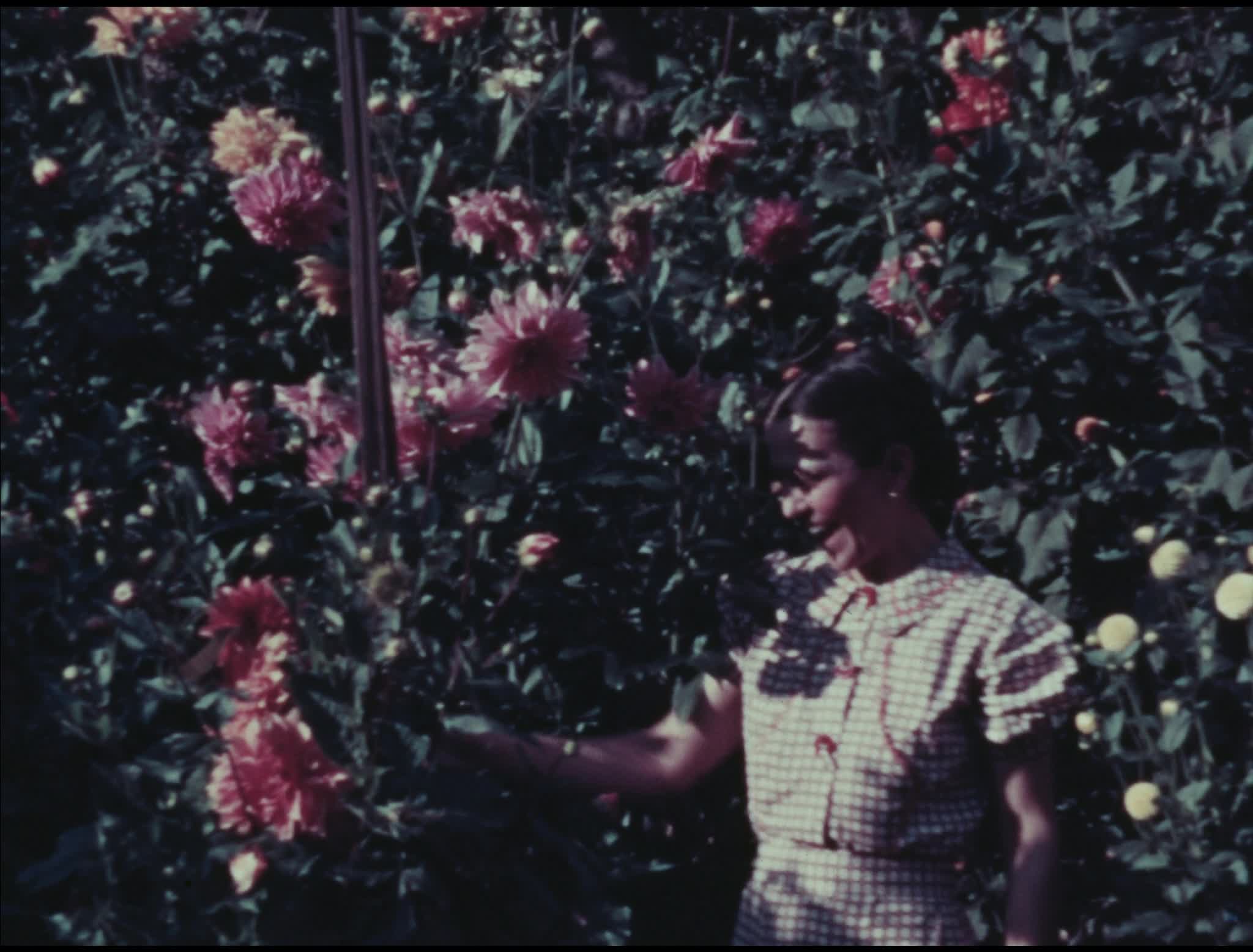 media 288349 thumbnail image